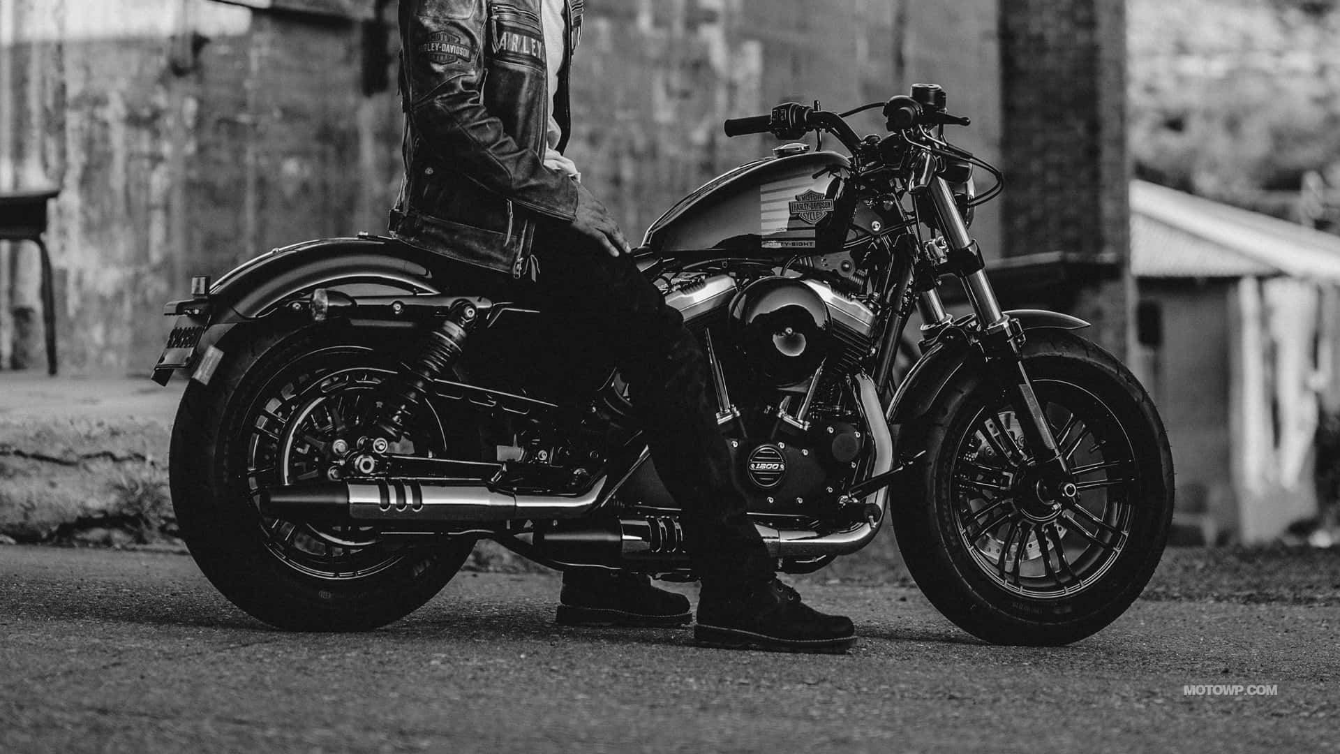 Harley Davidson HD, classic cruiser motorcycle, black and white, Full HD Desktop Wallpaper