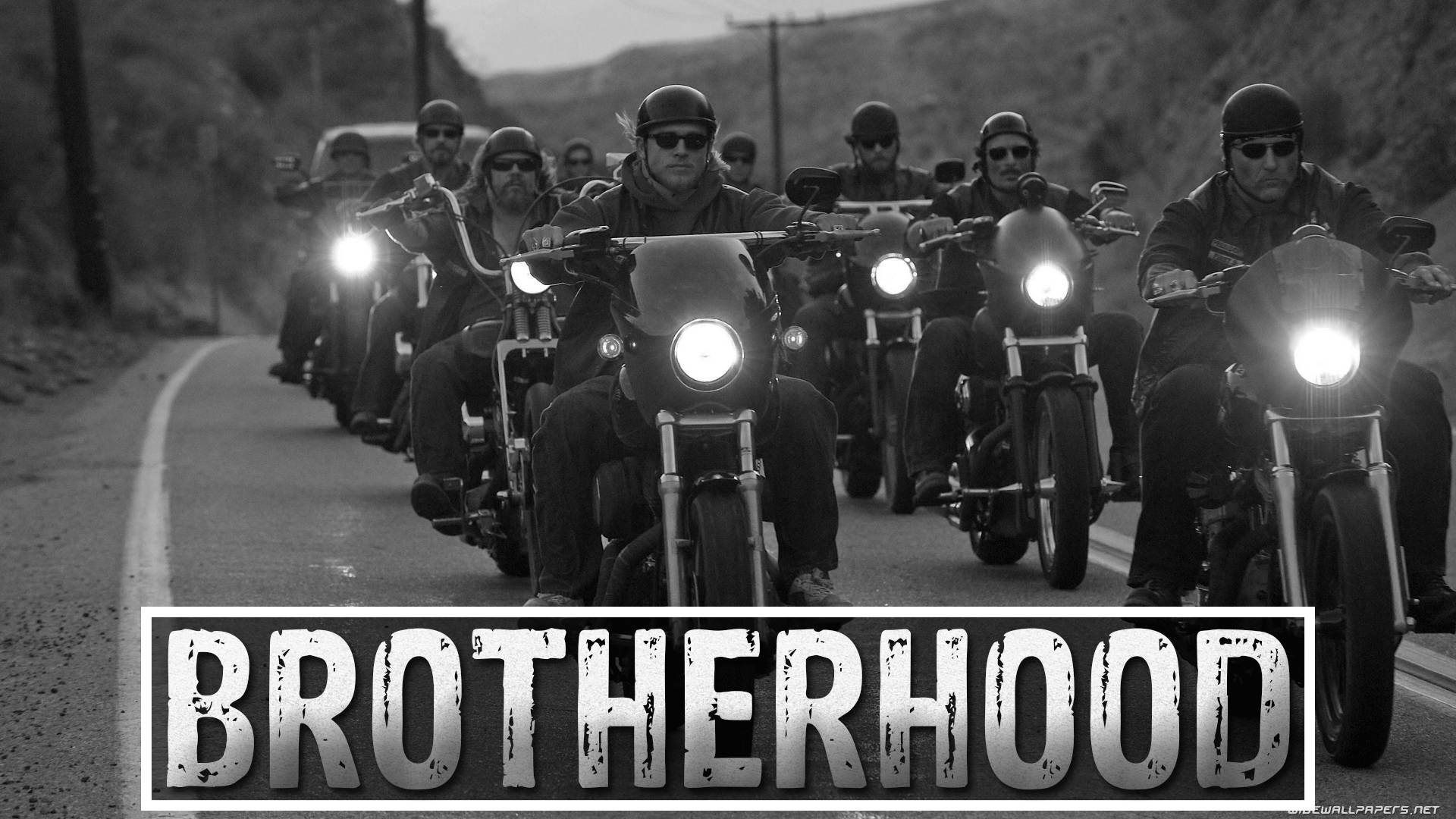 Harley Davidson, motorcycle gang, winding road, Full HD Desktop Wallpaper