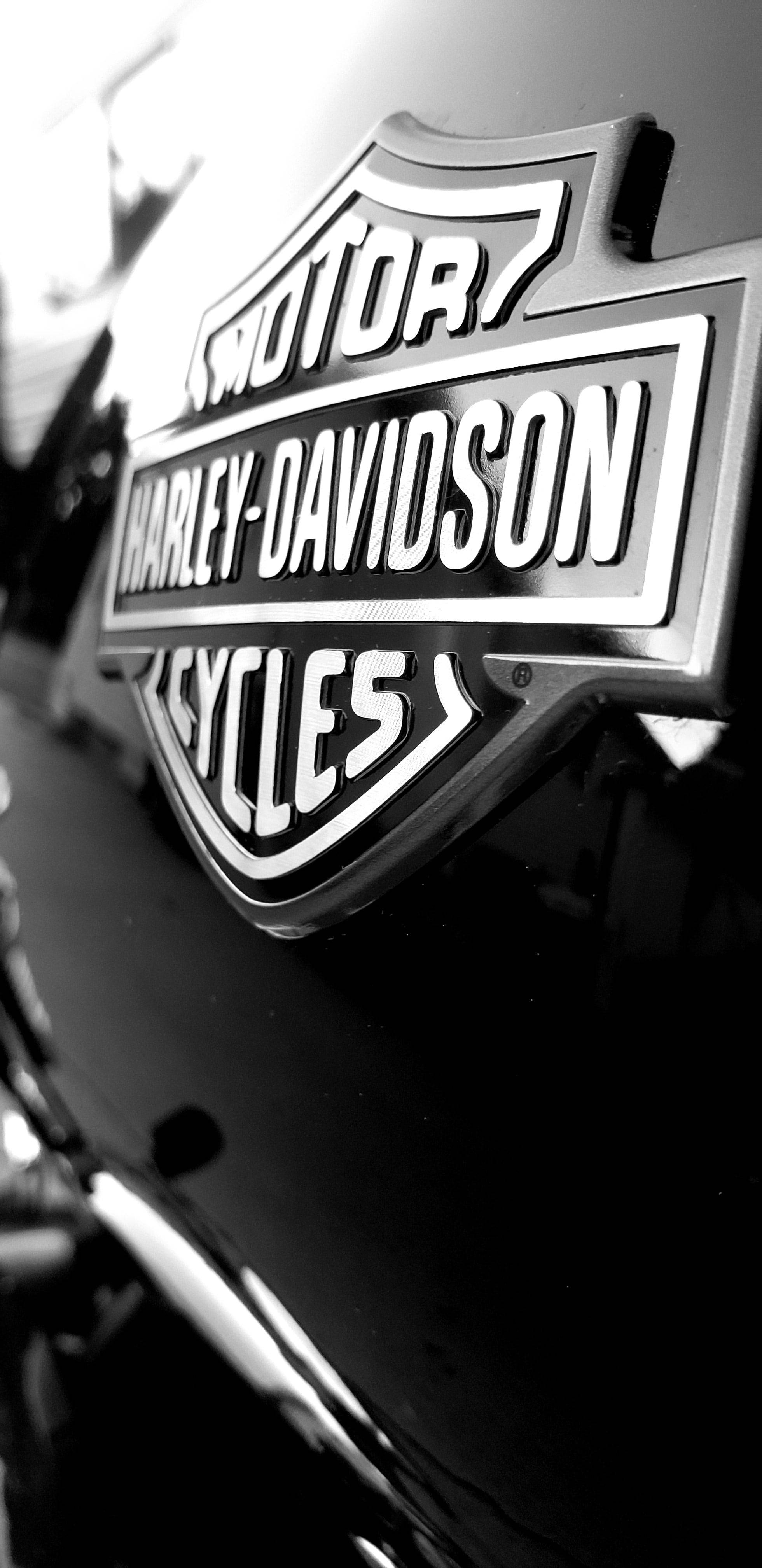 Harley-Davidson logo, motorcycle fuel tank, black and white shot, 4K Phone Wallpaper