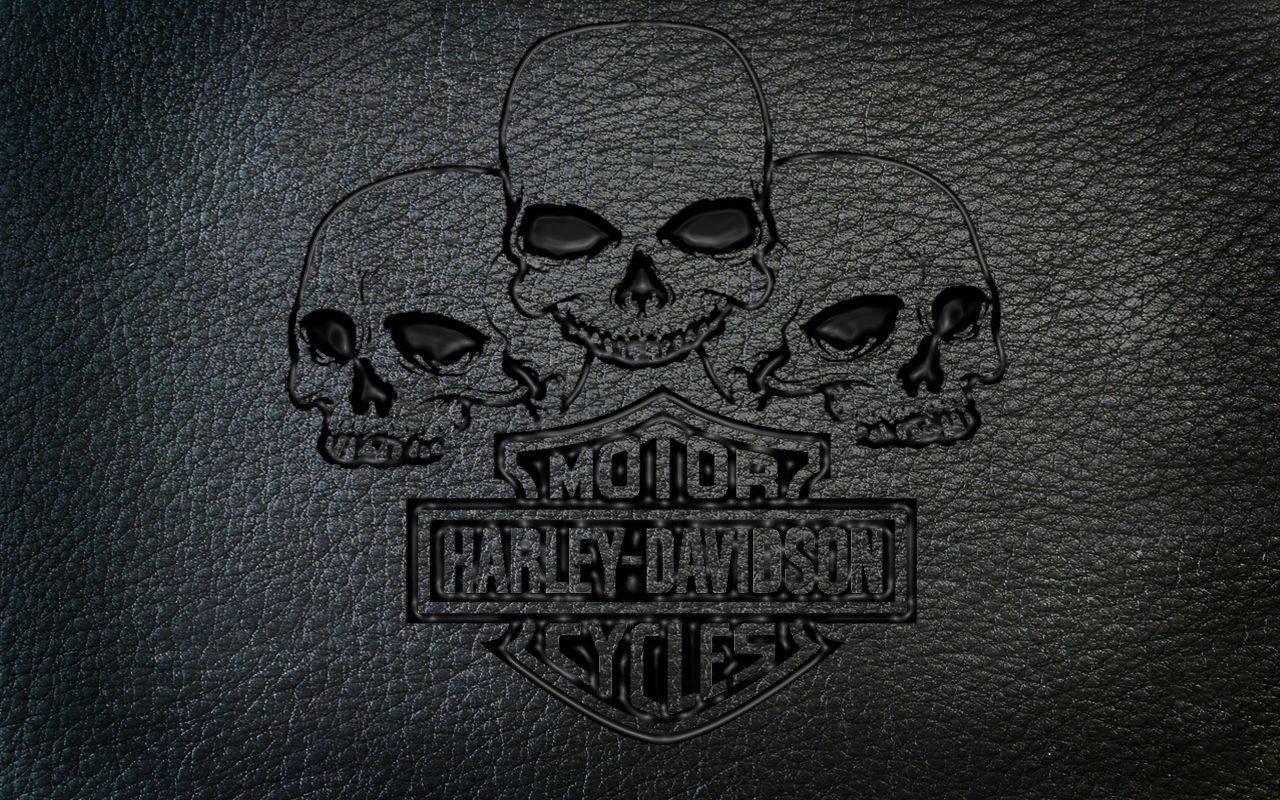 Harley Davidson Logo, three skulls, dark textured leather background, HD Desktop Wallpaper