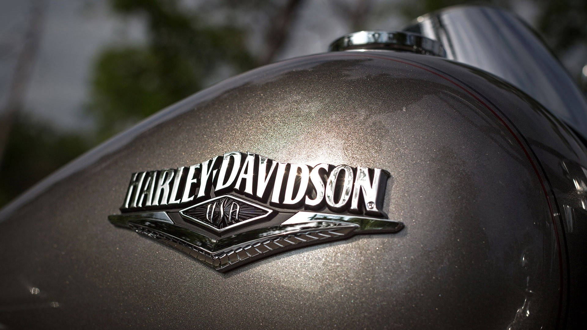 Harley-Davidson logo, metallic fuel tank, green foliage, Full HD Desktop Wallpaper