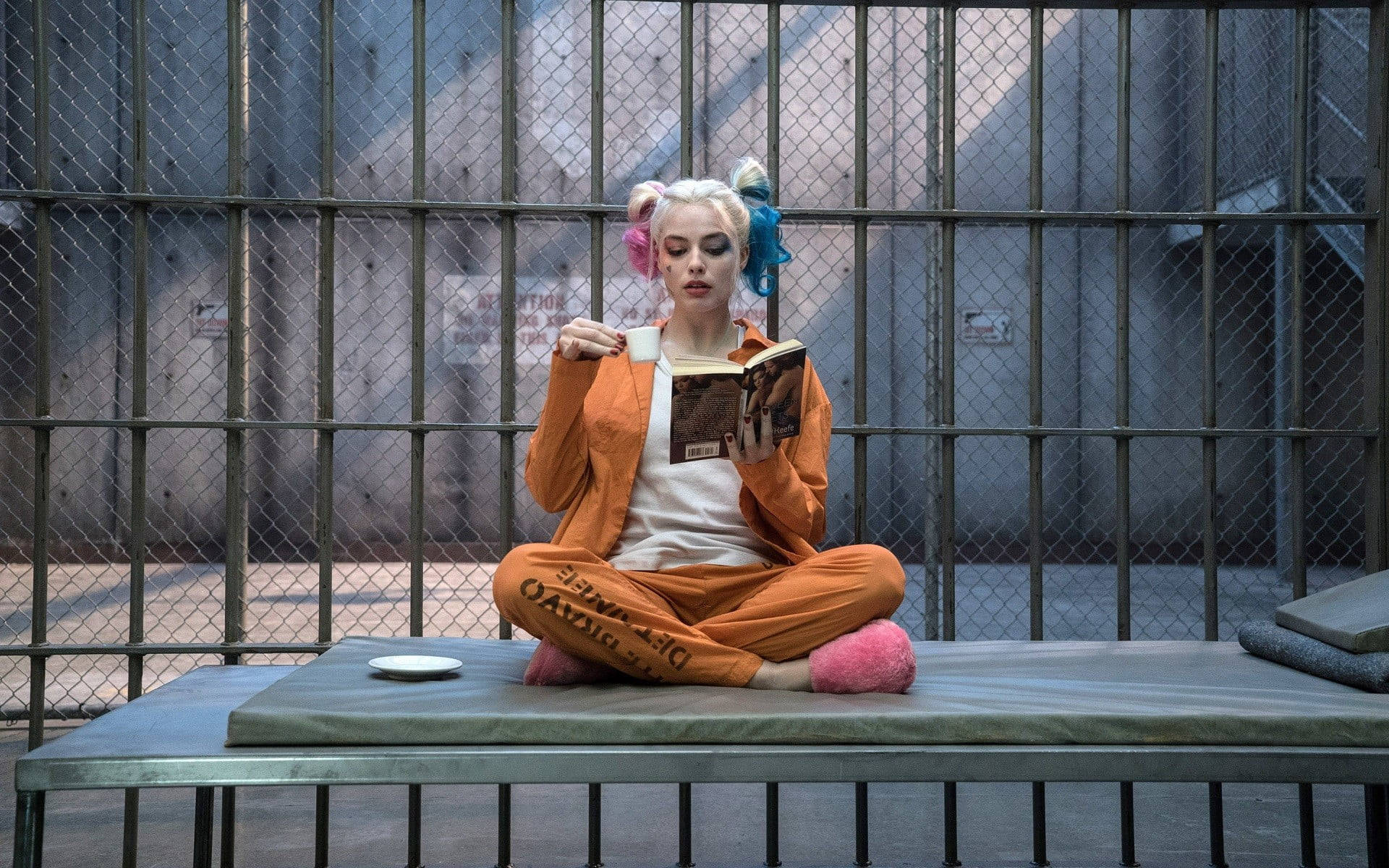 Harley Quinn, orange prison jumpsuit, metal bunk, Full HD Desktop Wallpaper