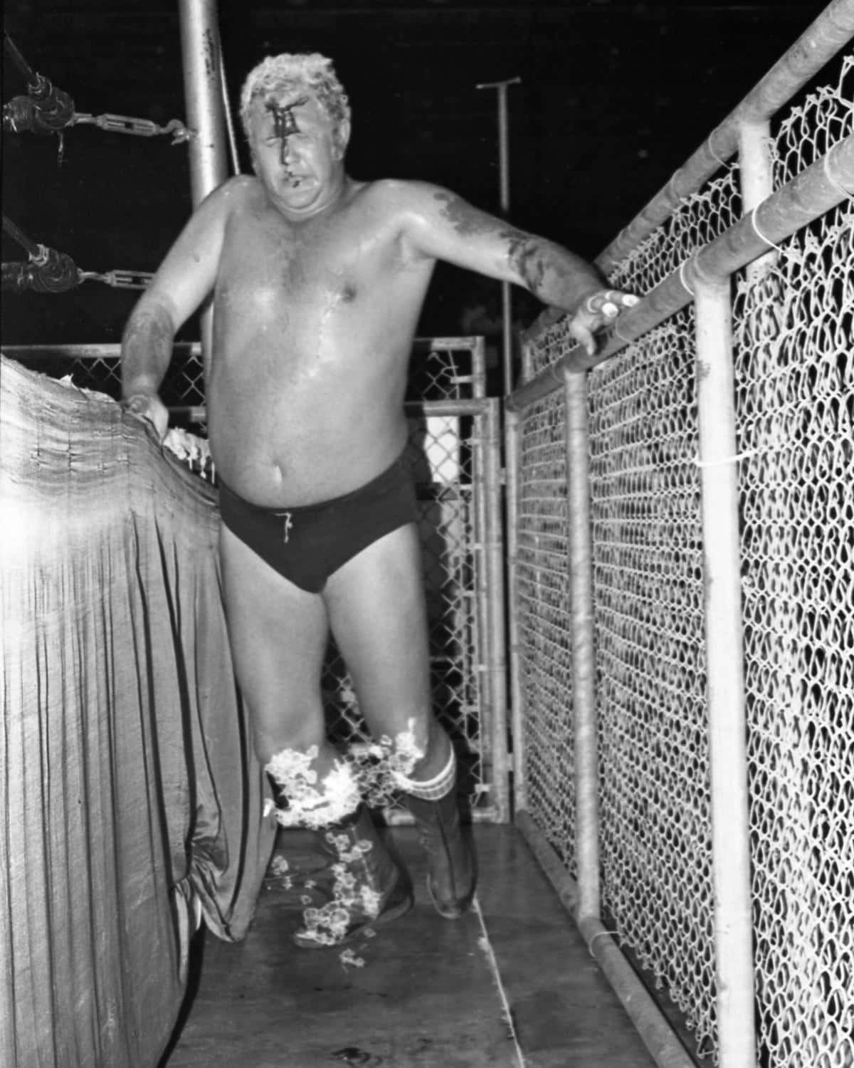 Harley Race, chain-link cage, night, HD Phone Wallpaper