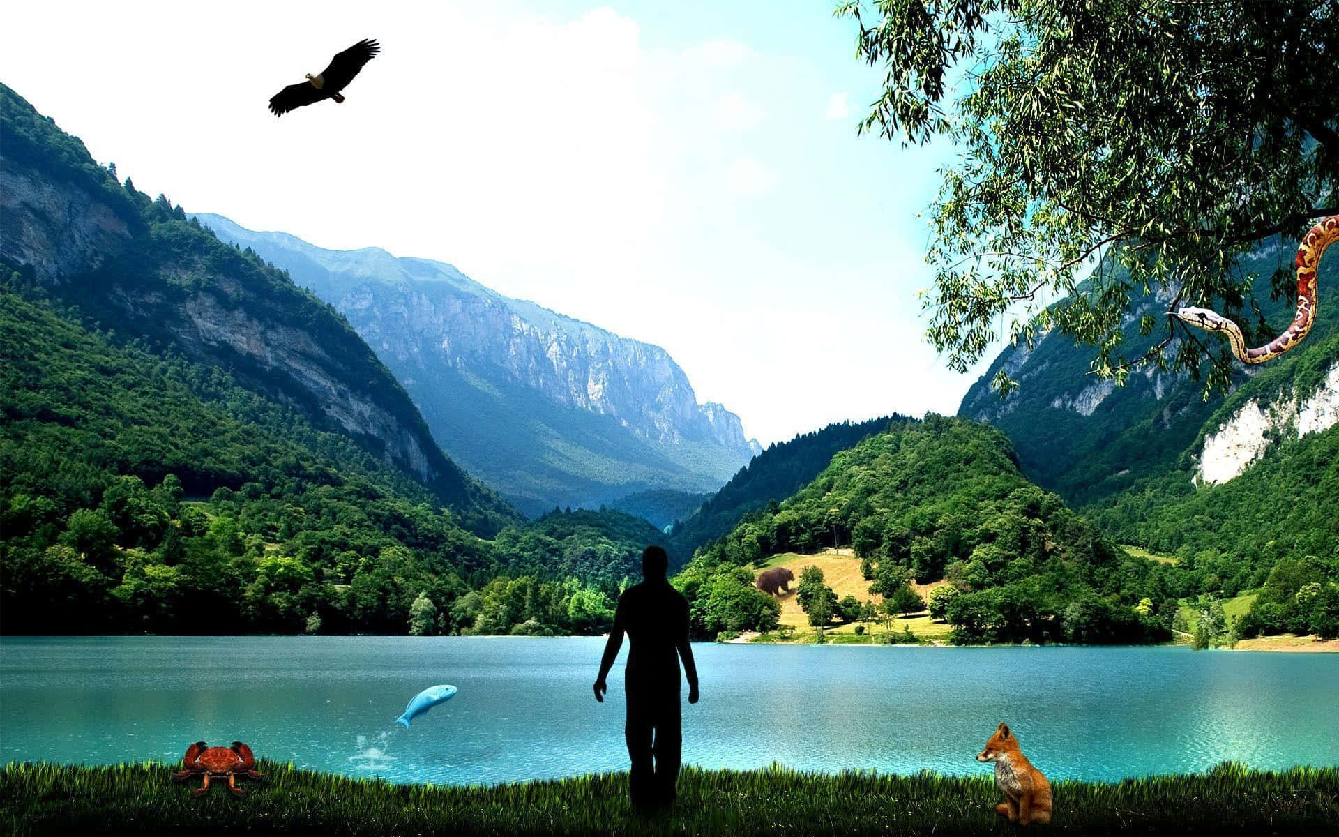 Harmony, mountain lake, bird, Full HD Desktop Wallpaper