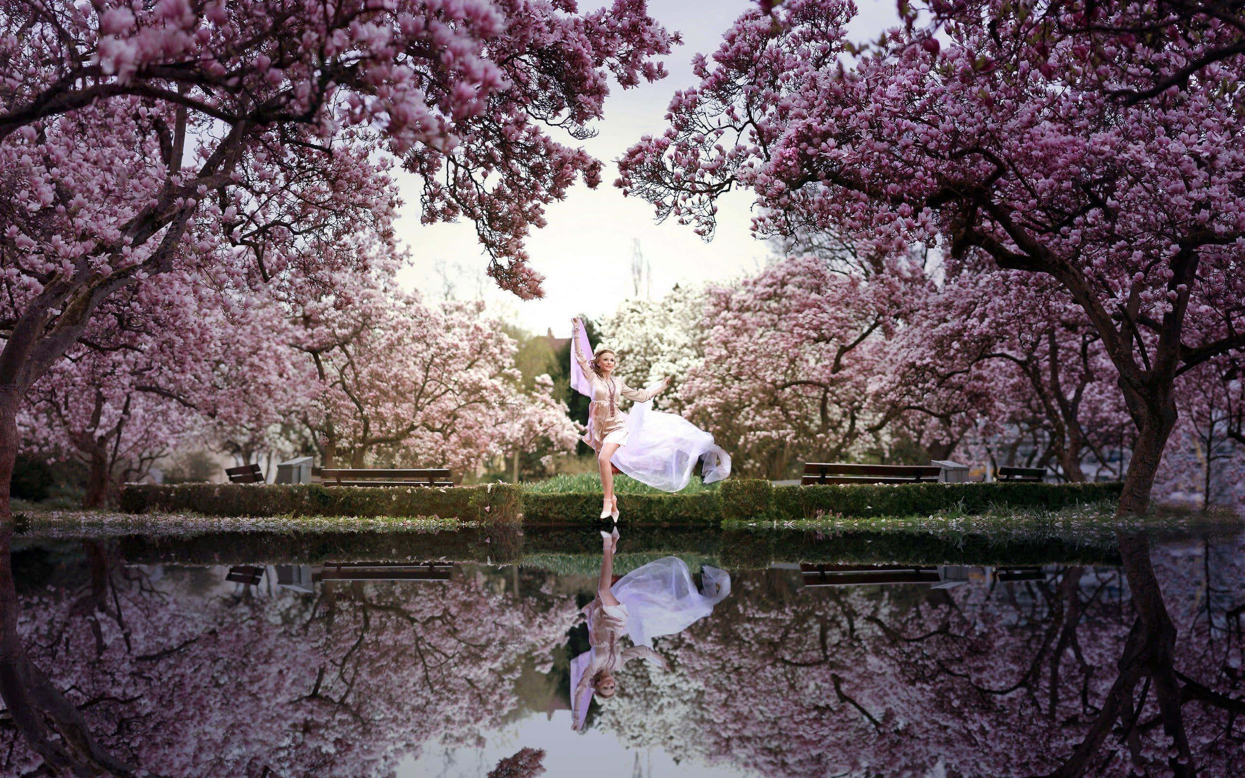 harmony, 2560 x 1600, white dress, 2K Desktop Wallpaper