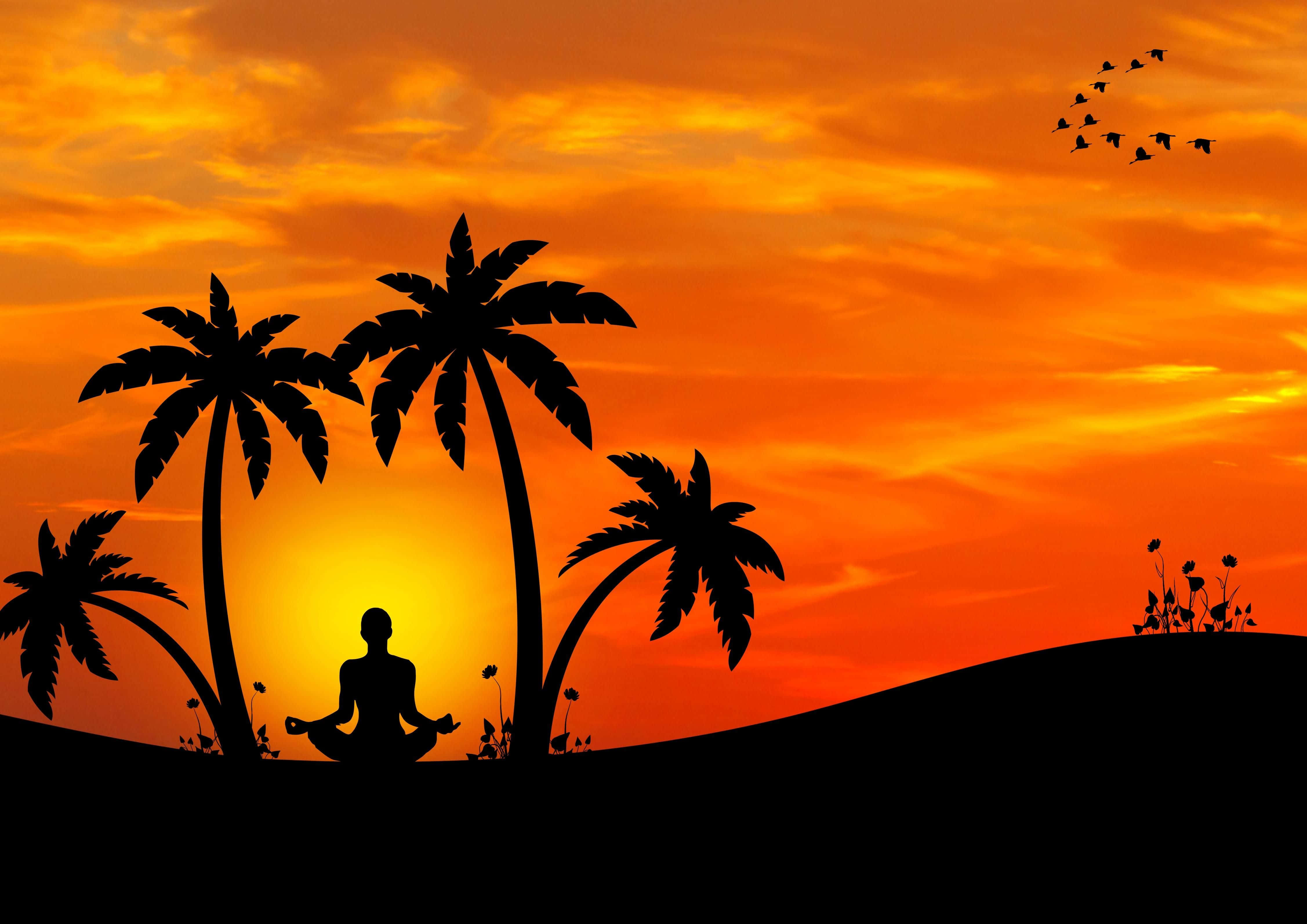 Harmony 4508 x 3187, fiery orange sunset, palm trees, 4K Desktop Wallpaper