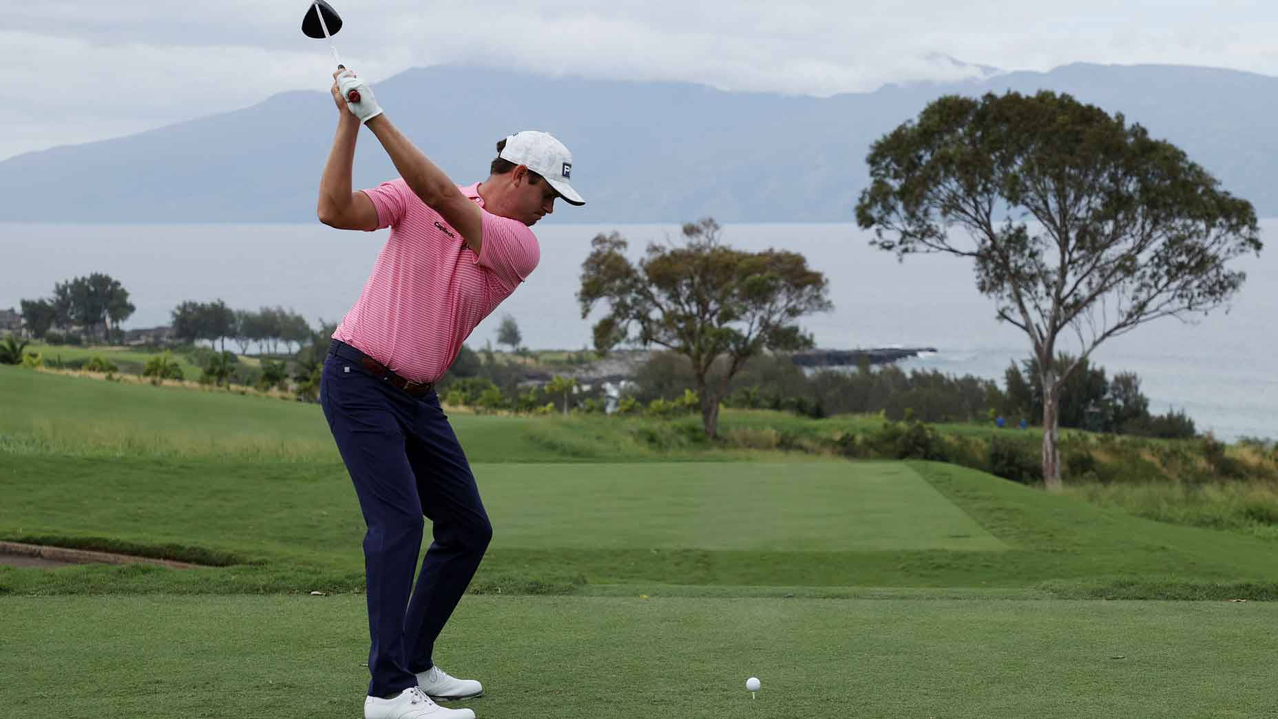 Harris English, pink shirt, lush green course, HD Desktop Wallpaper