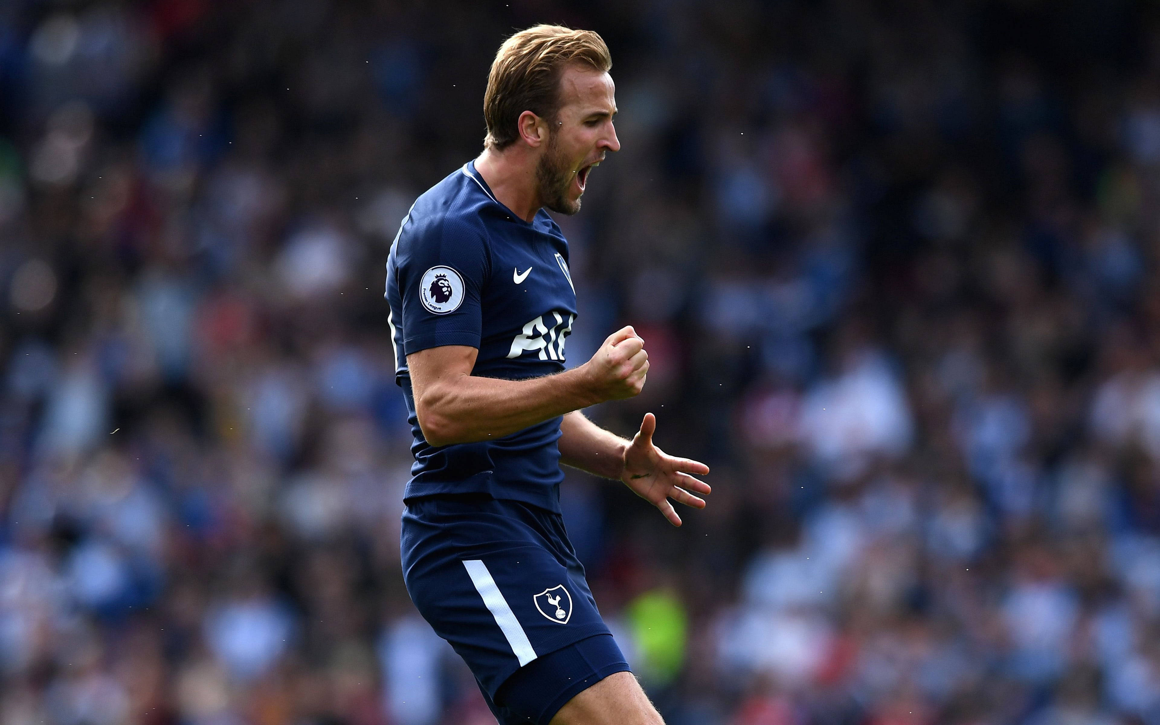 Harry Kane, blue jersey, navy kit, 4K Desktop Wallpaper