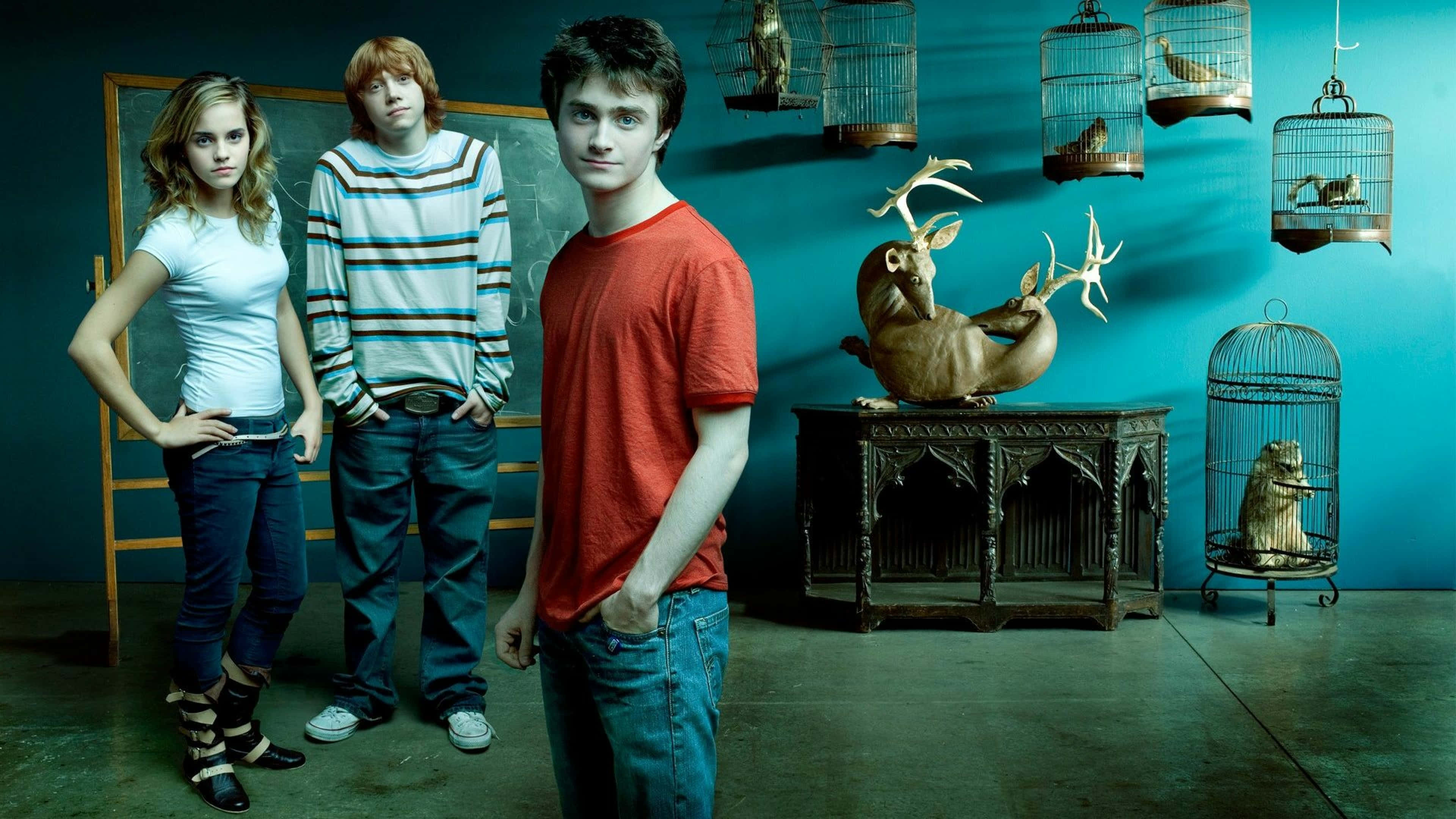 Harry Potter 4K, 3840 x 2160, teal walls, 4K Desktop Wallpaper
