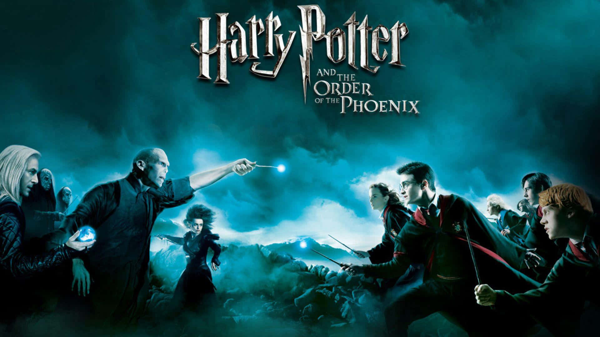 Harry Potter, allies, dark wizards, Full HD Desktop Wallpaper
