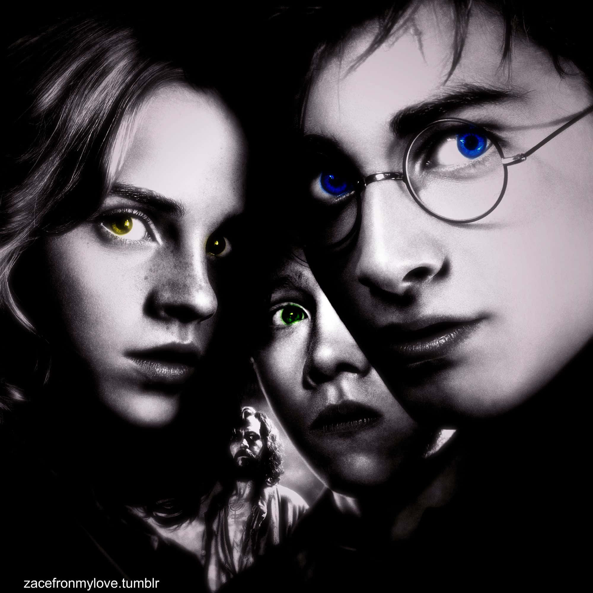 Harry Potter, three young wizards, glowing eyes, Full HD Desktop Wallpaper