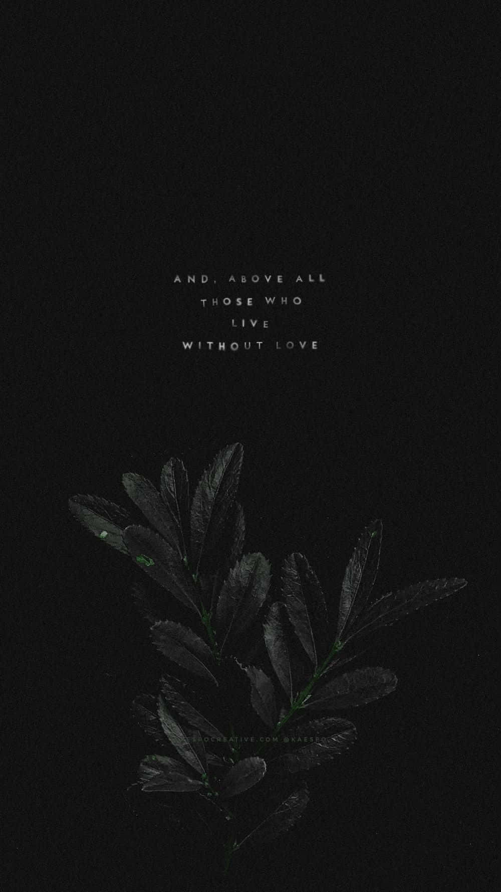 Harry Potter, black and white, dark leafy branch, HD Phone Wallpaper