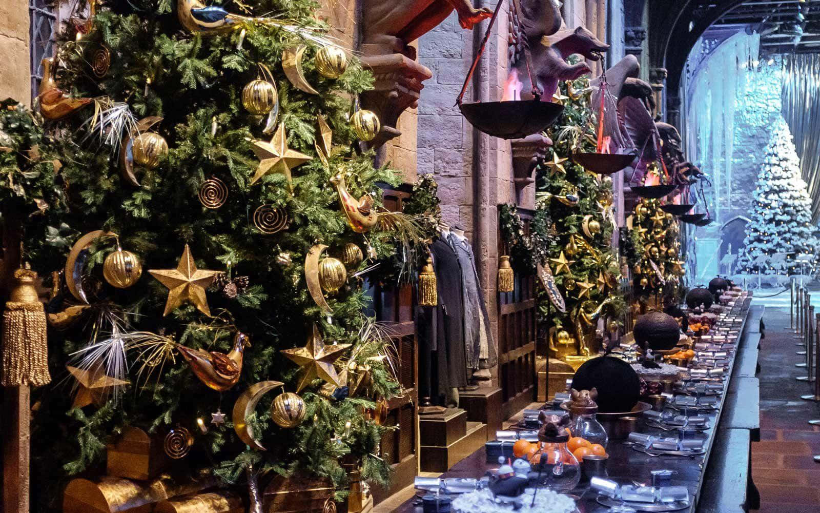 Harry Potter, Christmas, golden stars, HD Desktop Wallpaper