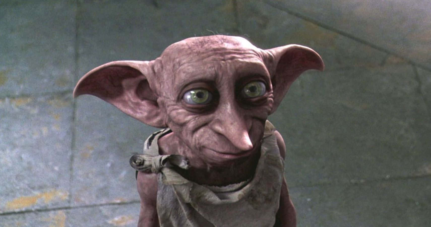 Harry Potter, Dobby, house-elf, HD Desktop Wallpaper
