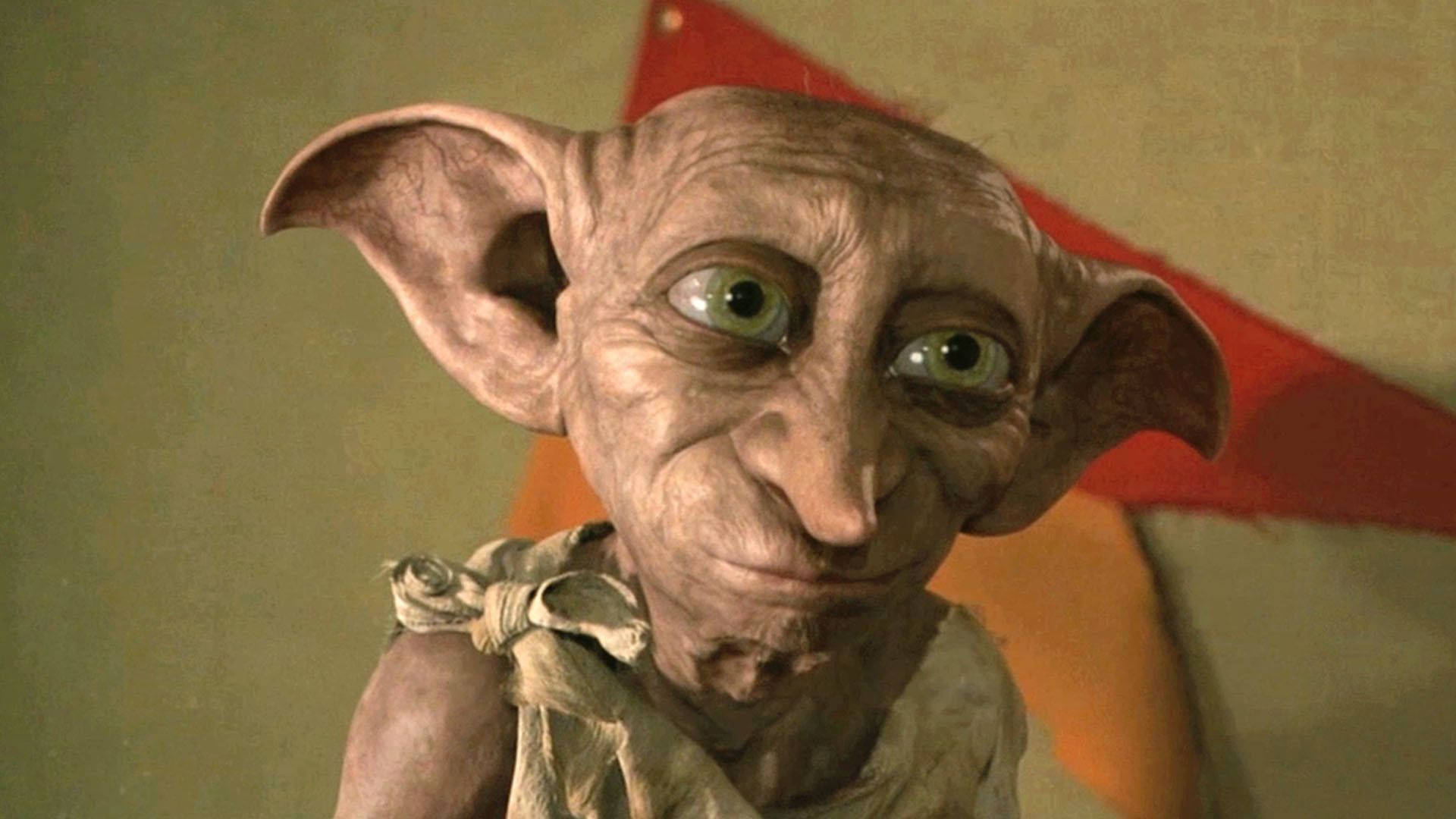 Dobby, Harry Potter, mission to stop Harry, Full HD Desktop Wallpaper
