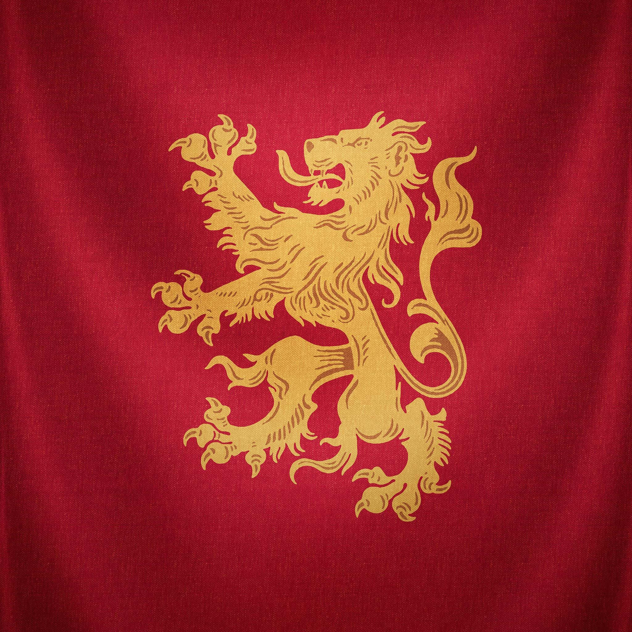 Harry Potter Gryffindor, Gryffindor, golden rampant lion emblem, Full HD Desktop Wallpaper