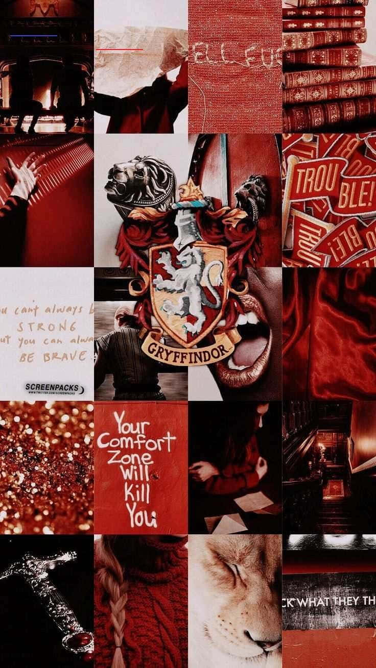 Gryffindor, Harry Potter, lion, HD Phone Wallpaper