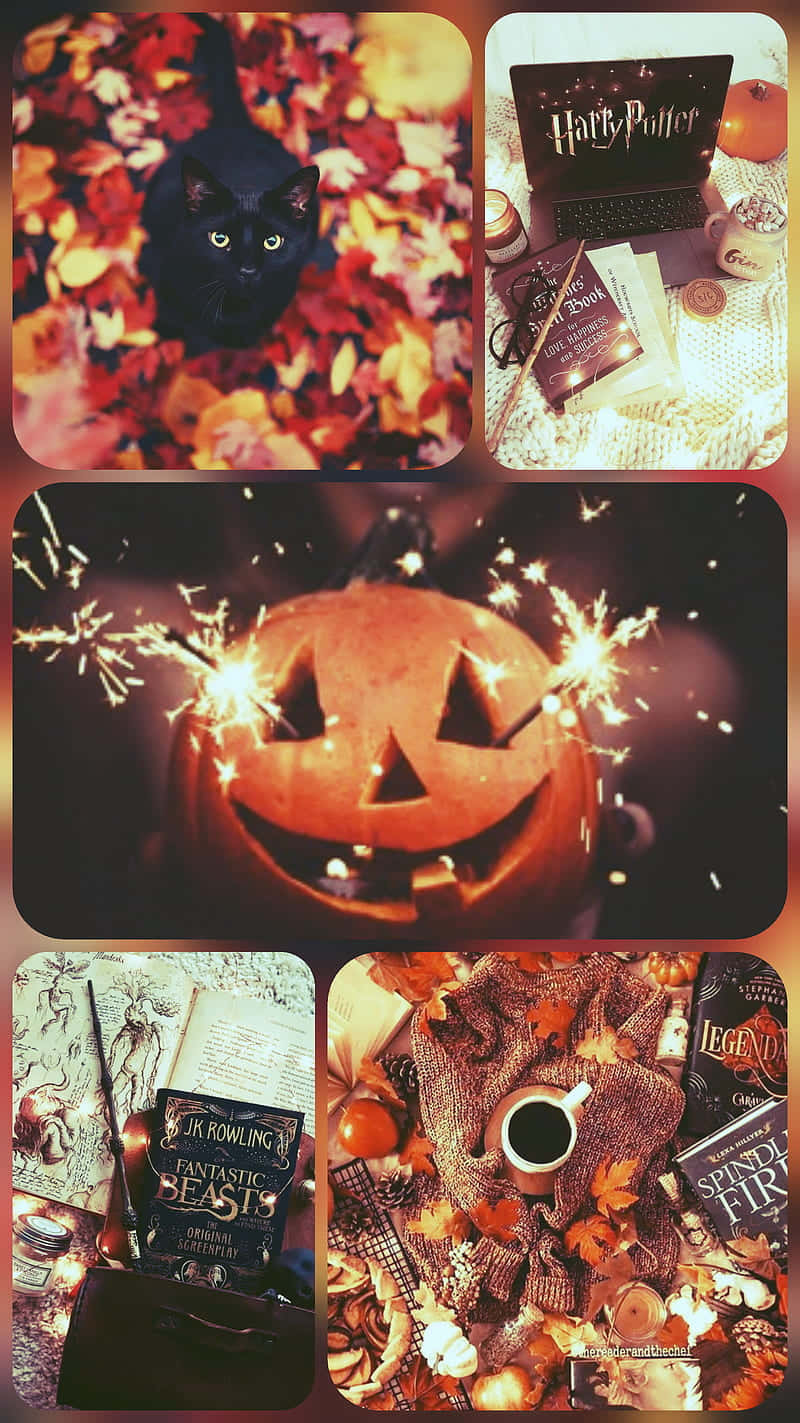 Harry Potter, Halloween, black cat, HD Phone Wallpaper