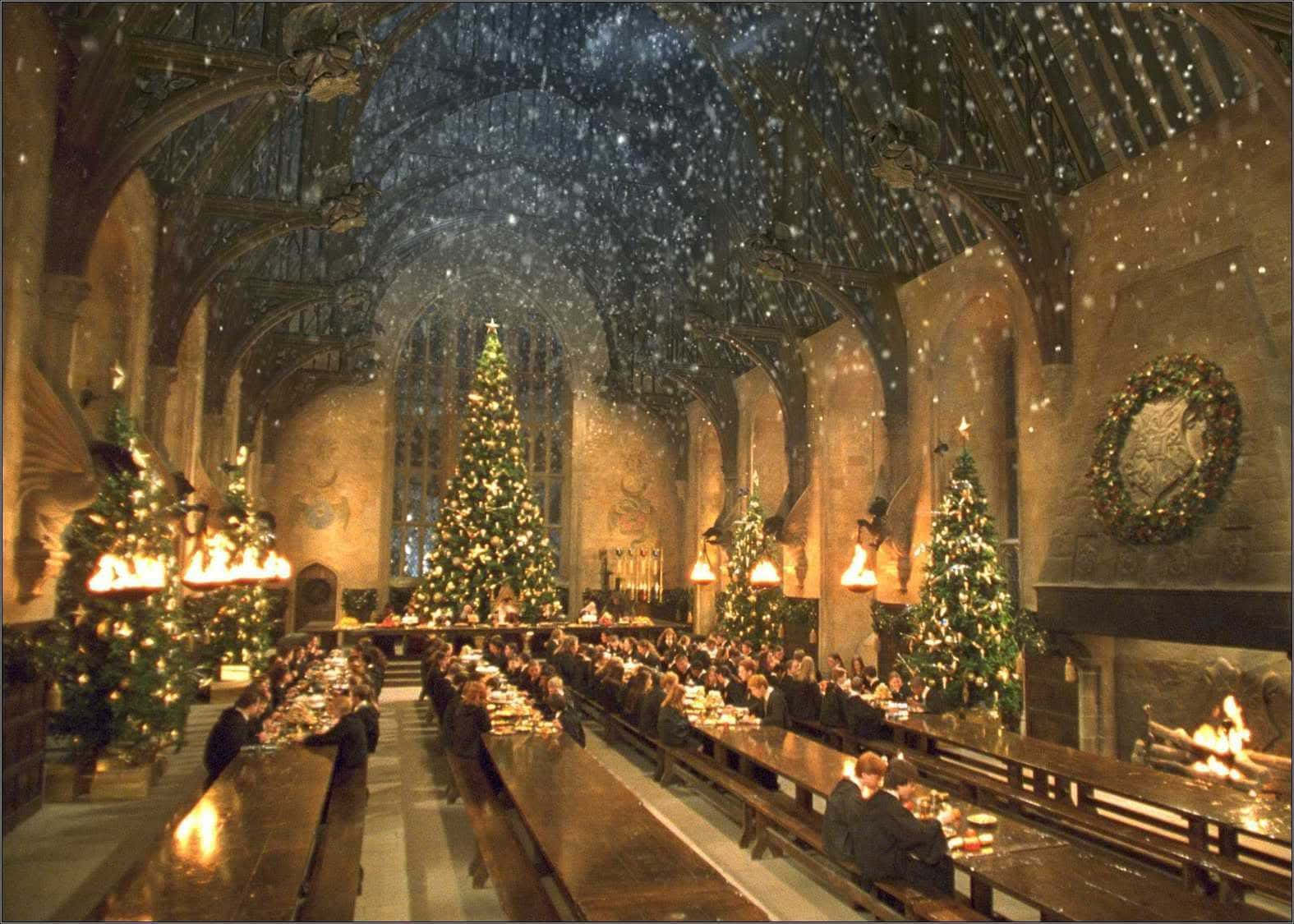 Harry Potter, Halloween, Christmas trees, HD Desktop Wallpaper