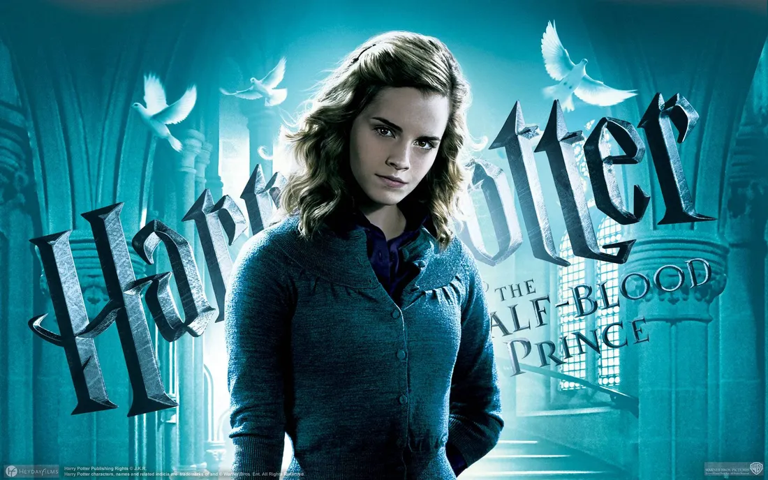 Harry Potter iPad