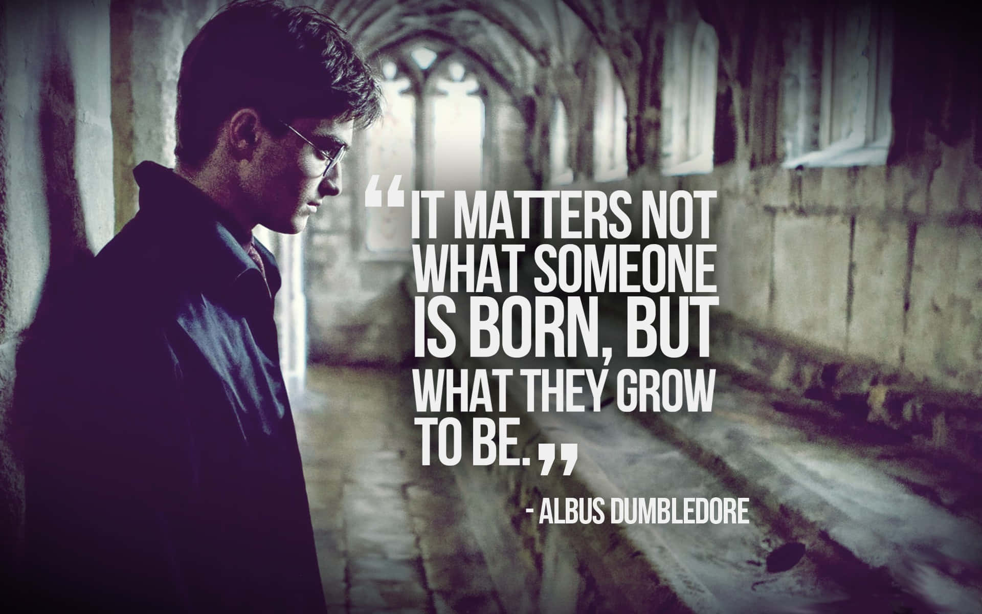 Harry Potter, landscape, young man with glasses, Full HD Desktop Wallpaper