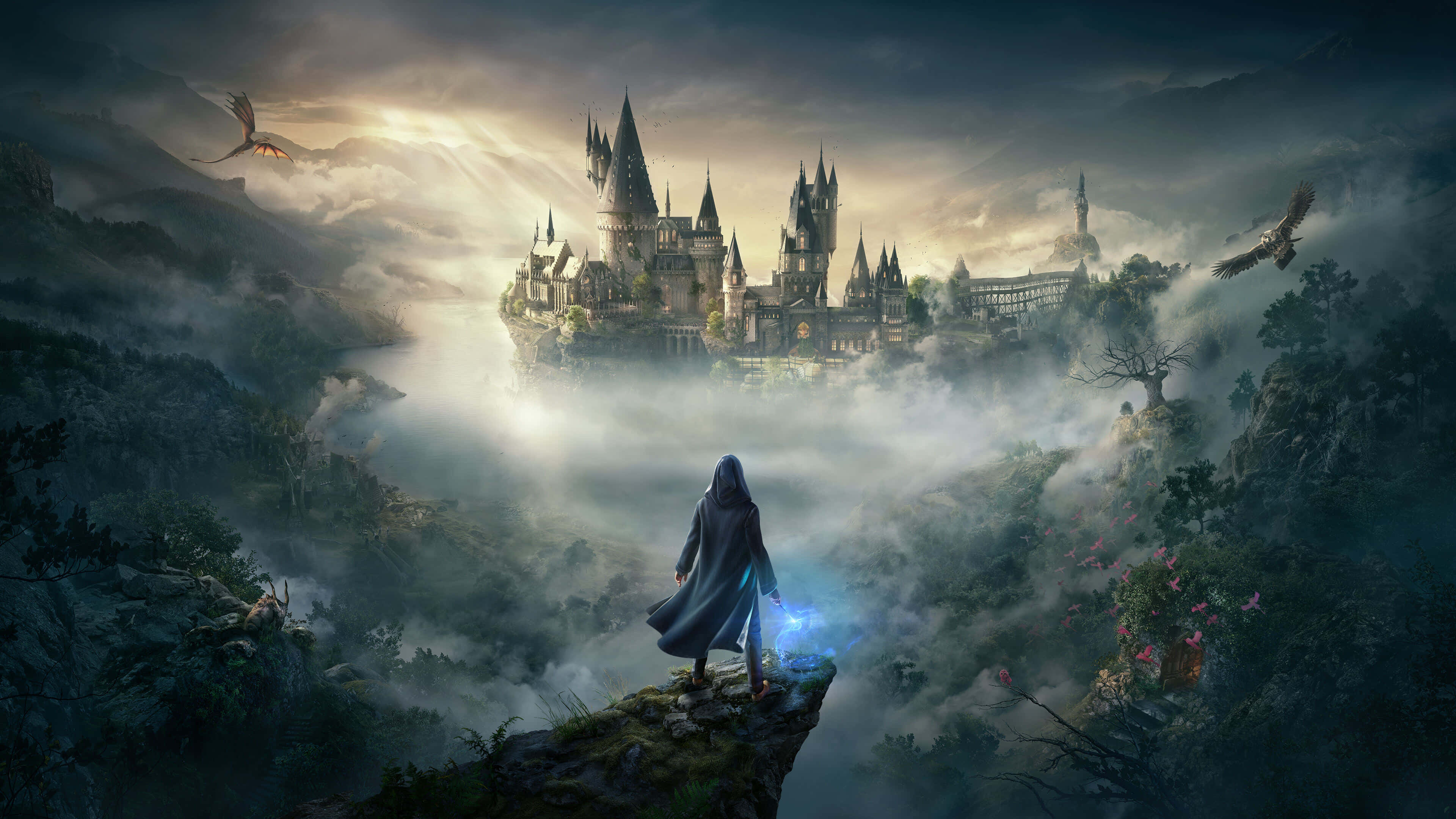 Harry Potter, 4K, 3840 x 2160, 4K Desktop Wallpaper