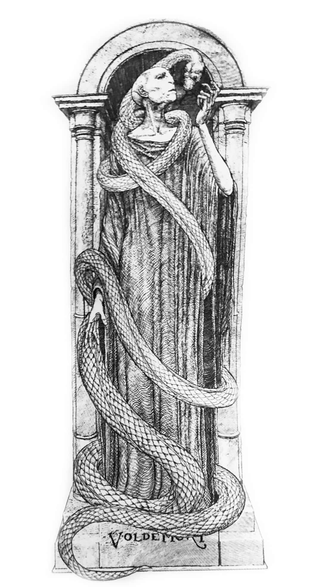 Harry Potter, Nagini, black and white illustration, Full HD Phone Wallpaper