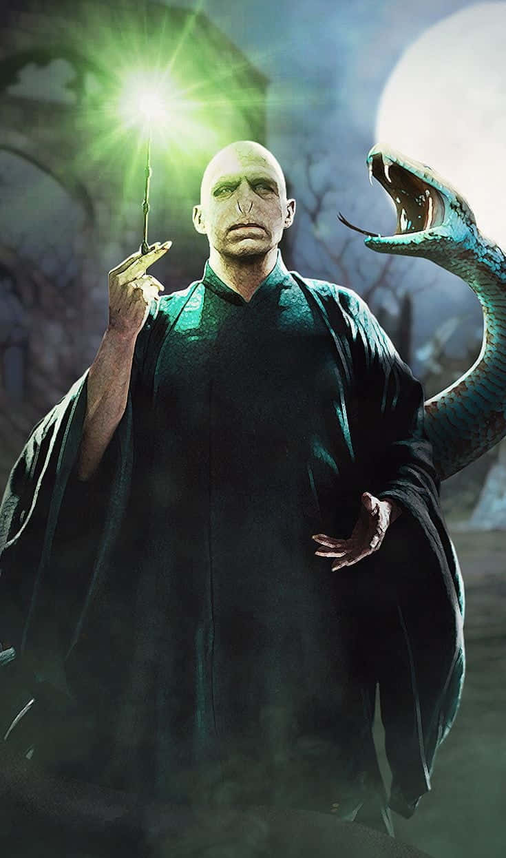 Harry Potter, Nagini, full moon, SD Phone Wallpaper
