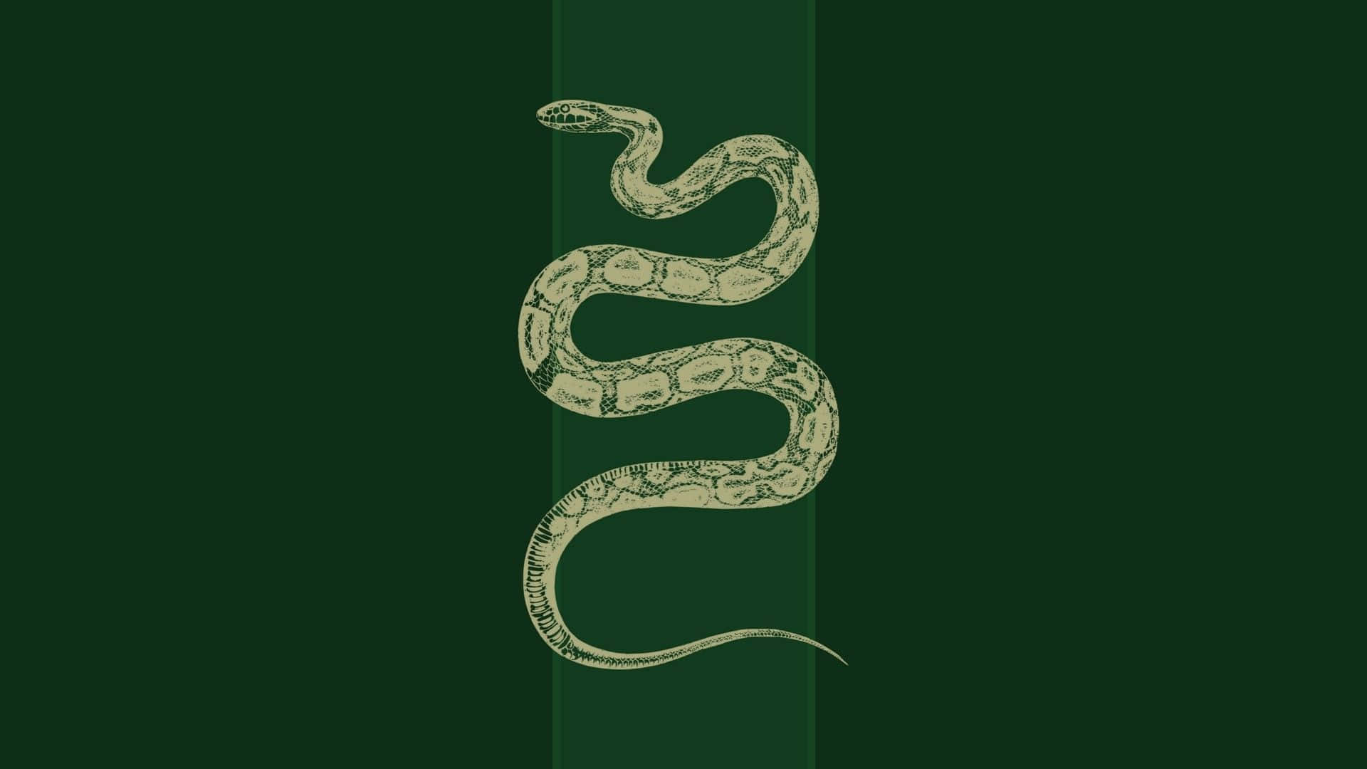 Nagini, serpent, Harry Potter, Full HD Desktop Wallpaper