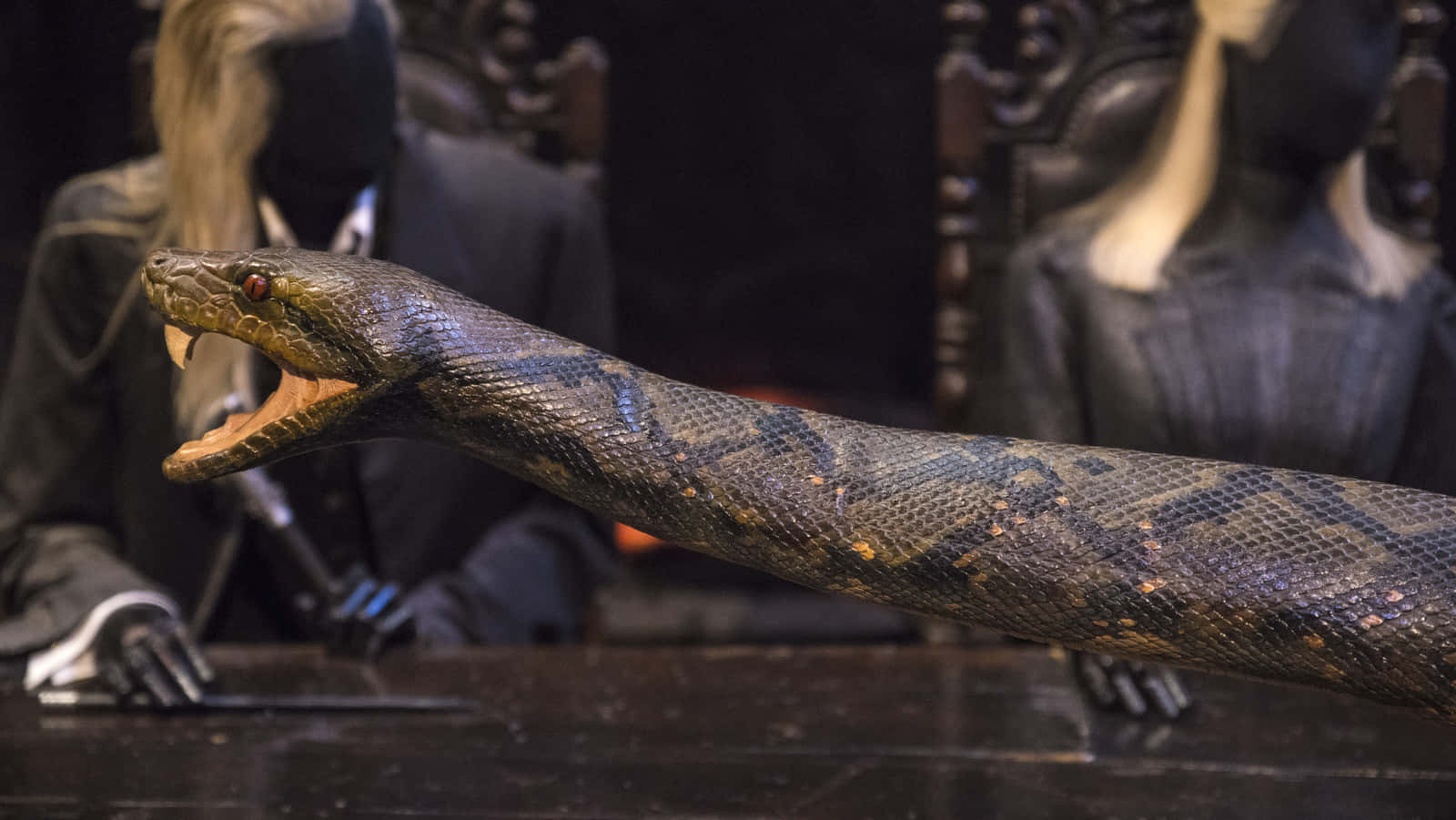 Nagini, snake prop, Harry Potter, HD Desktop Wallpaper