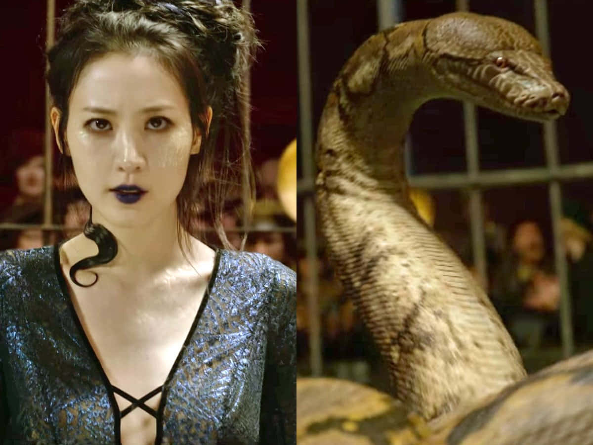 Nagini, human and snake form, dark blue lipstick, SD Desktop Wallpaper
