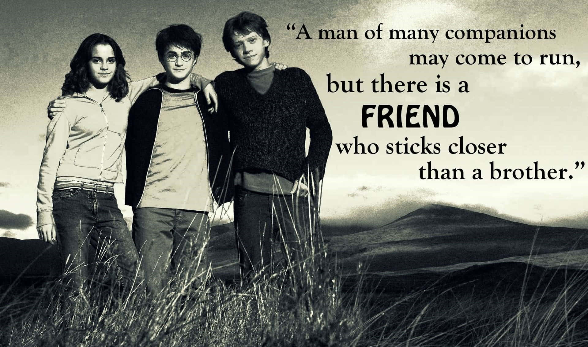 Harry Potter, true friendship, three friends, Full HD Desktop Wallpaper