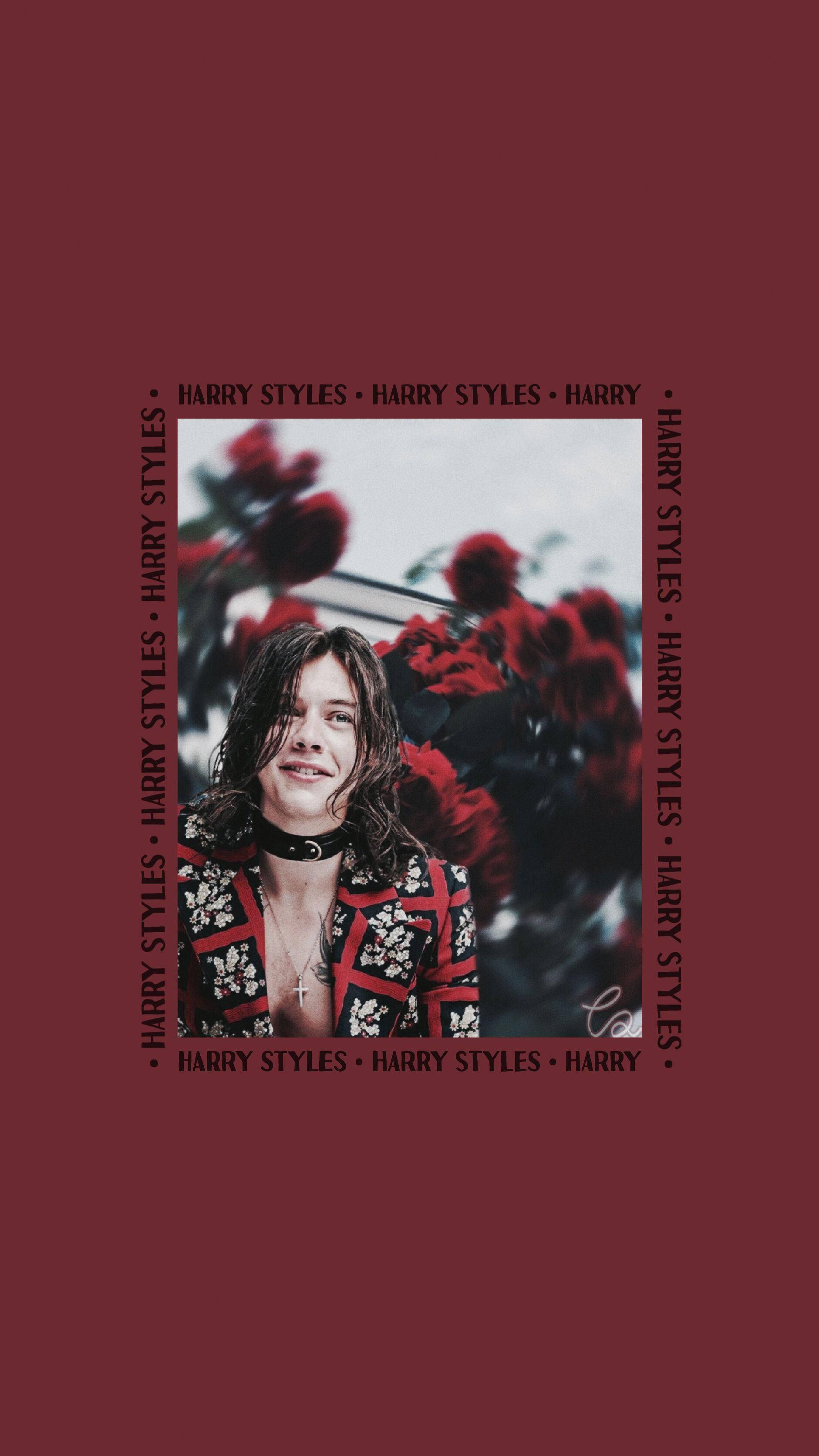 Harry Styles, red flowers, deep maroon background, 2K Phone Wallpaper
