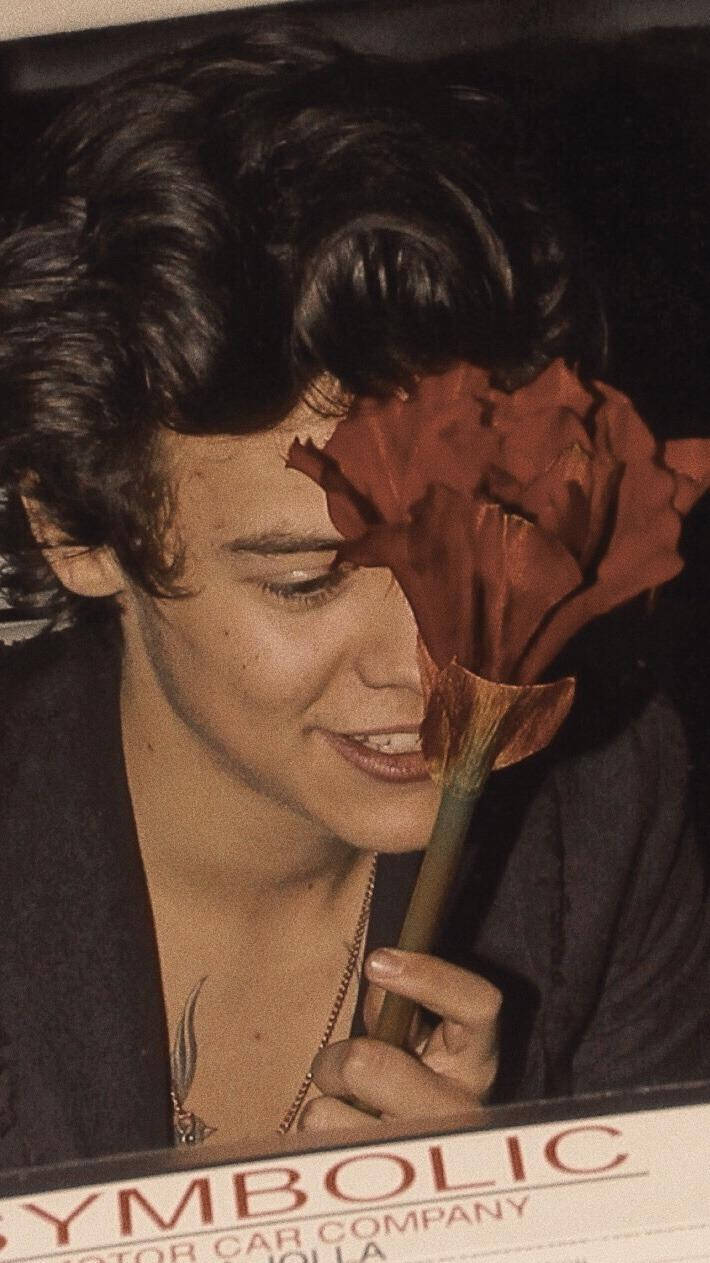 Harry Styles Aesthetic, dark hair, large red rose, SD Phone Wallpaper