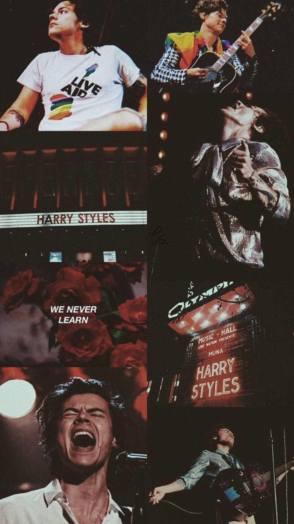Harry Styles, concert moments, vibrant lighting, HD Phone Wallpaper