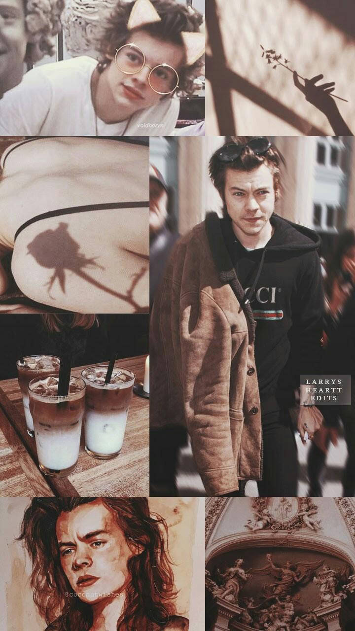 Harry Styles, warm tones, artistic edits, HD Phone Wallpaper