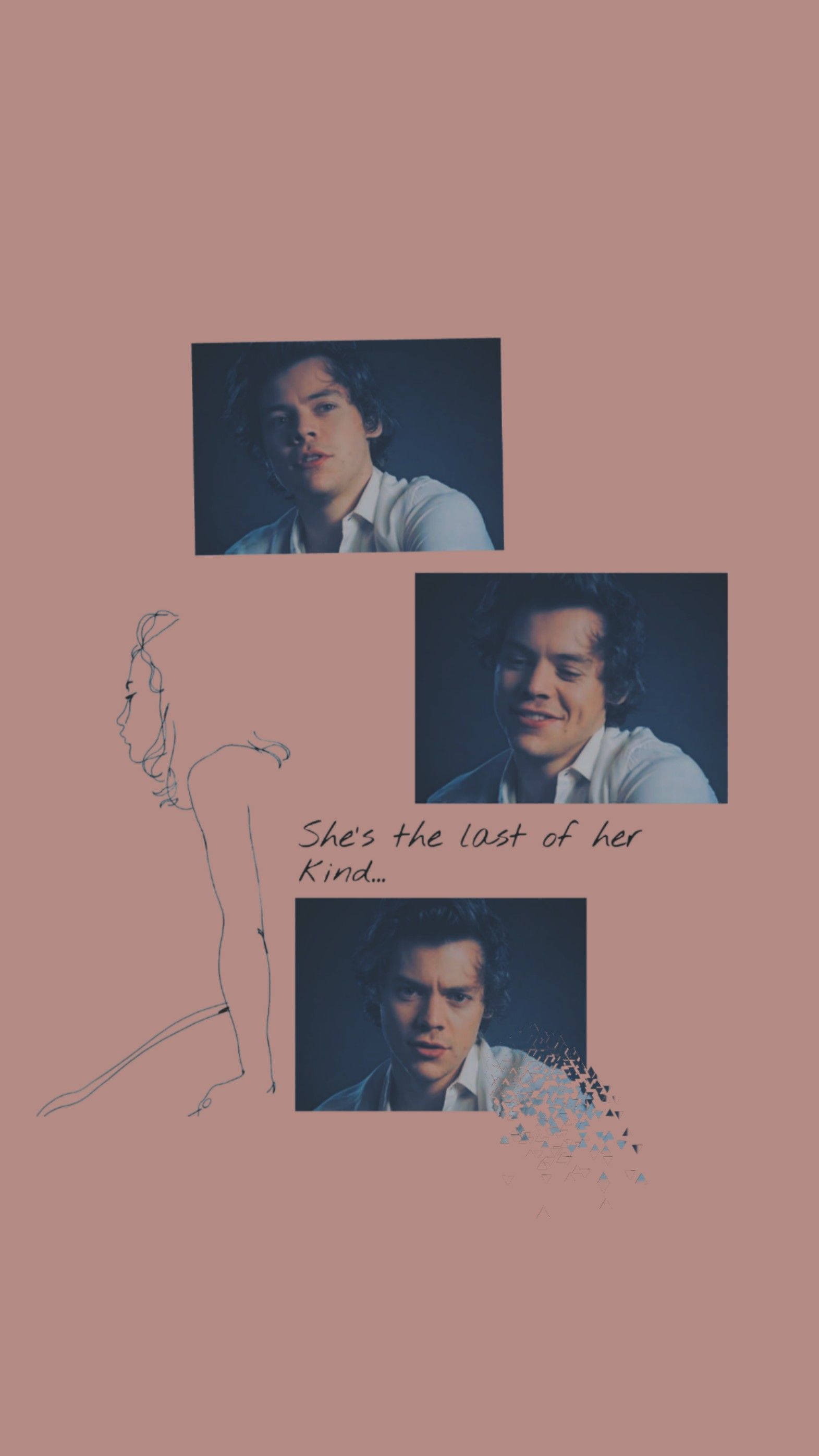 Harry Styles, muted pink background, minimalist line drawing, 2K Phone Wallpaper