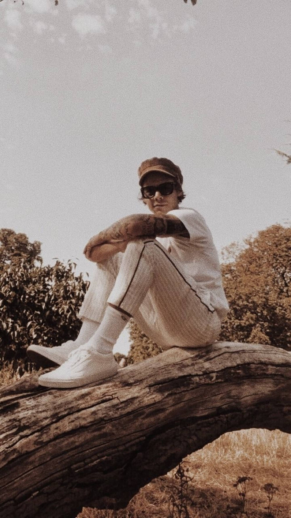 Harry Styles Aesthetic, white baseball gear, cap, HD Phone Wallpaper