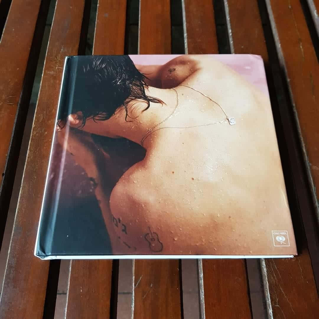 Harry Styles, vinyl album cover, wet nude back, SD Desktop Wallpaper