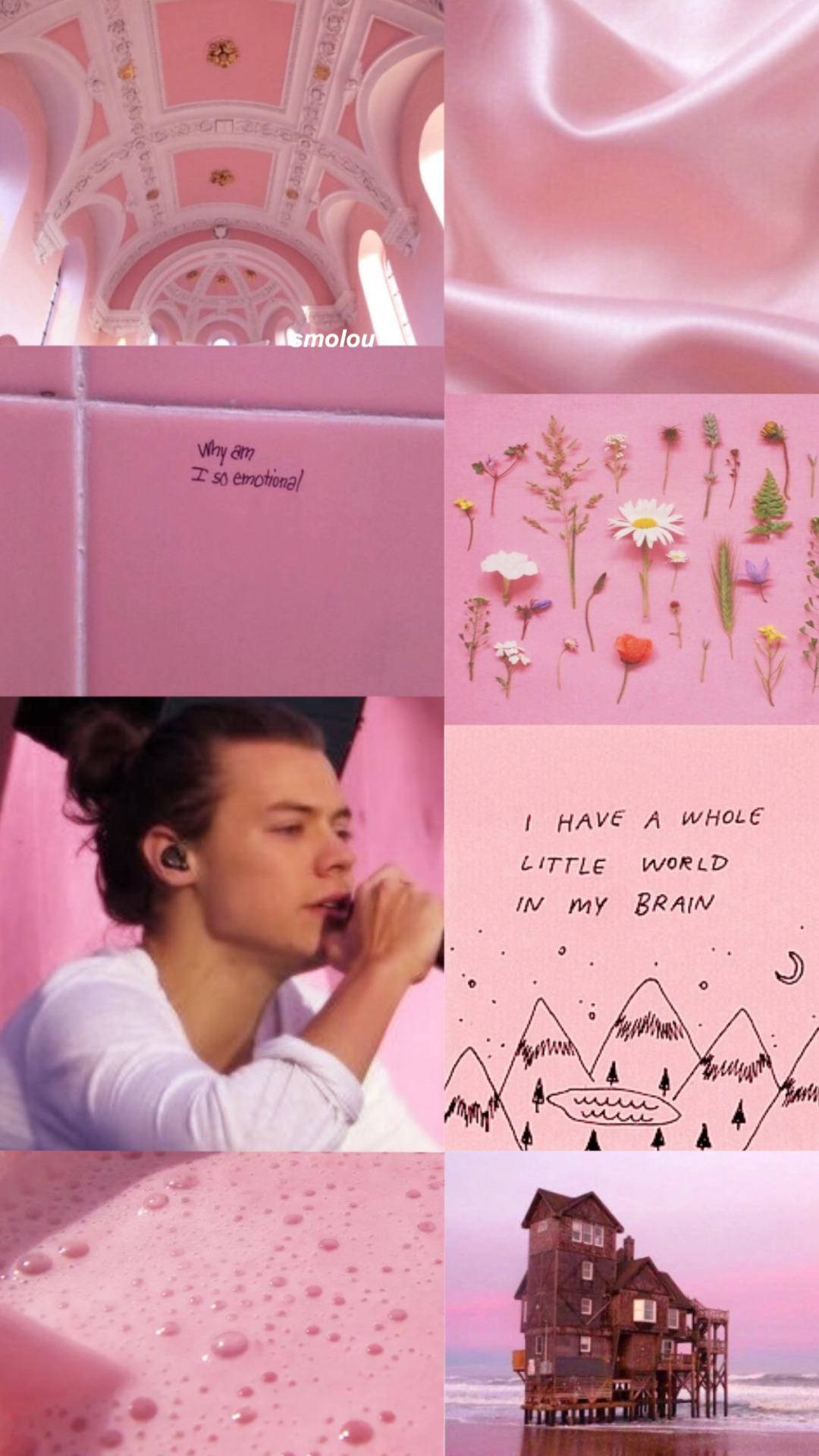 Harry Styles Aesthetic, pink backdrop, cathedral ceiling, Full HD Phone Wallpaper