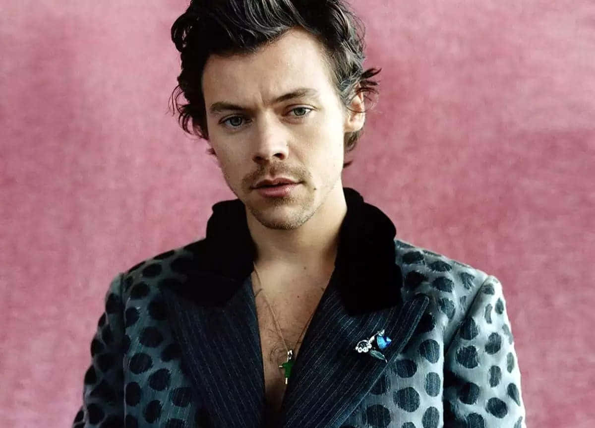 Harry Styles, polka-dot jacket, textured pink background, SD Desktop Wallpaper