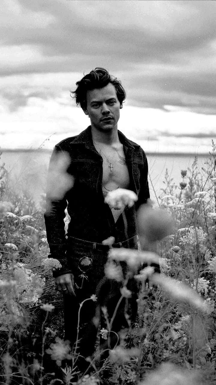 Harry Styles, wildflowers, cloudy sky, HD Phone Wallpaper