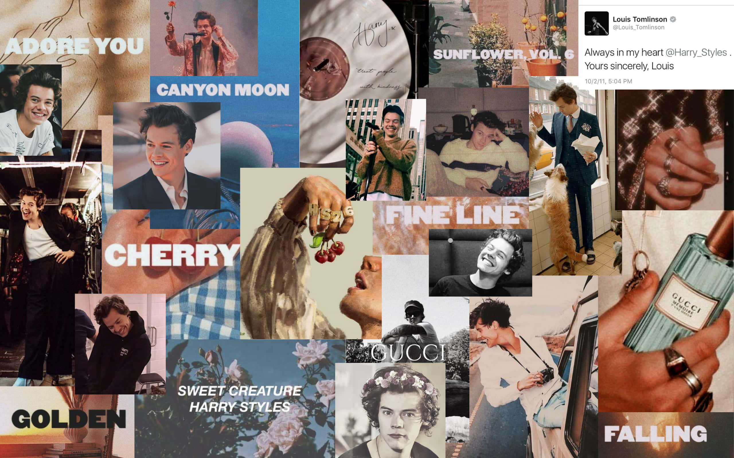 Harry Styles, Young and Fabulous, collage, 2K Desktop Wallpaper