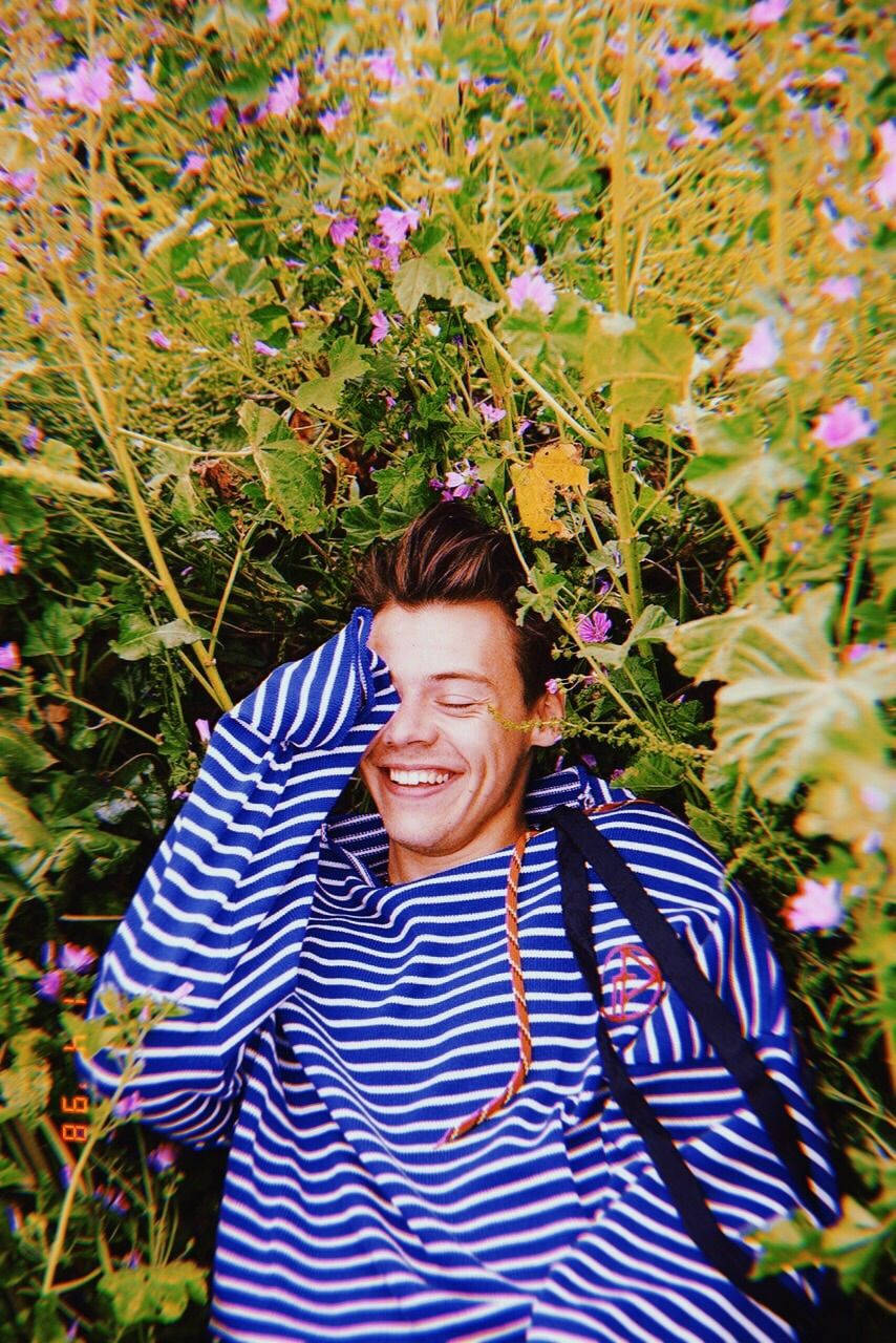Harry Styles, blue striped hoodie, tall green plants, HD Phone Wallpaper