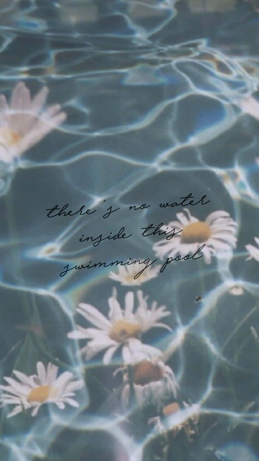 Harry Styles, white daisies, rippling blue water, HD Phone Wallpaper