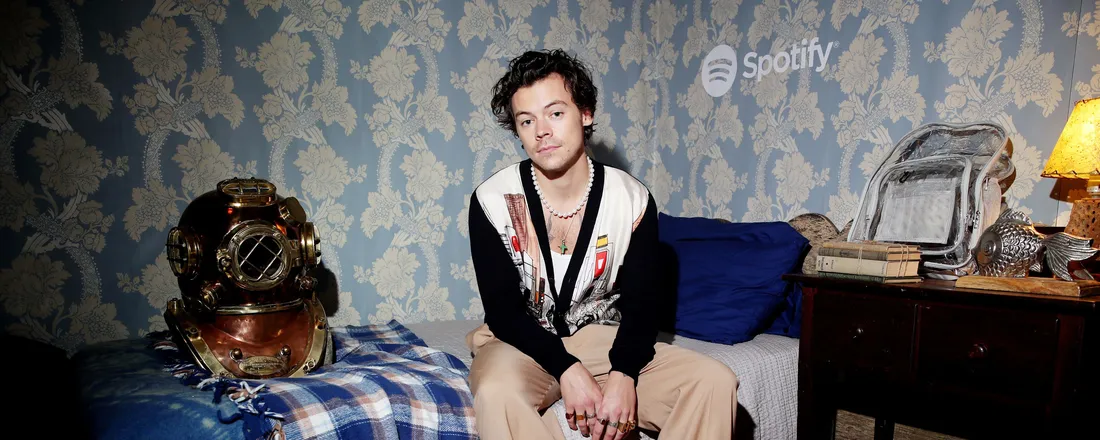 Harry Styles Laptop
