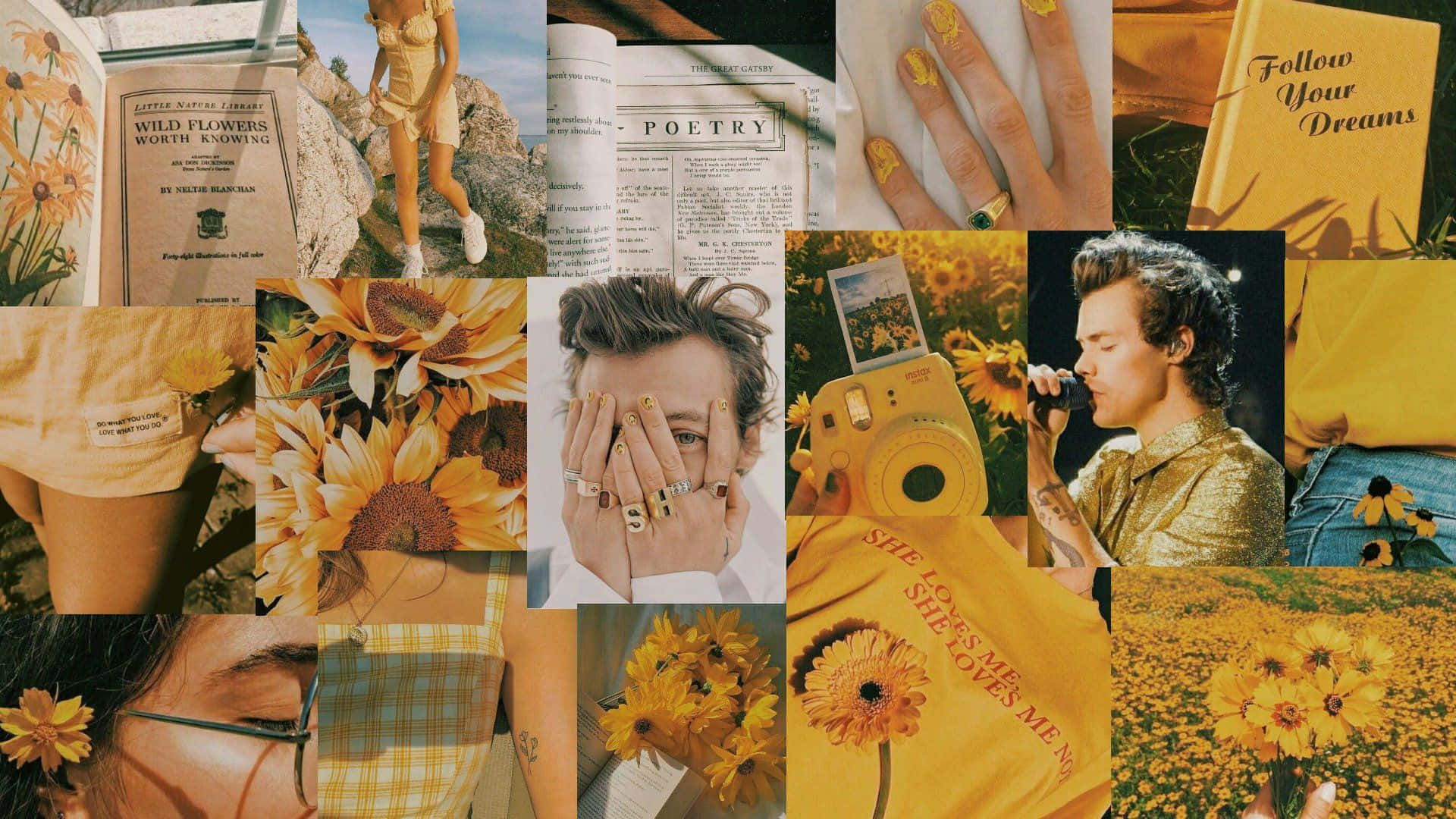 Harry Styles, yellow sunflower, golden blooms, Full HD Desktop Wallpaper