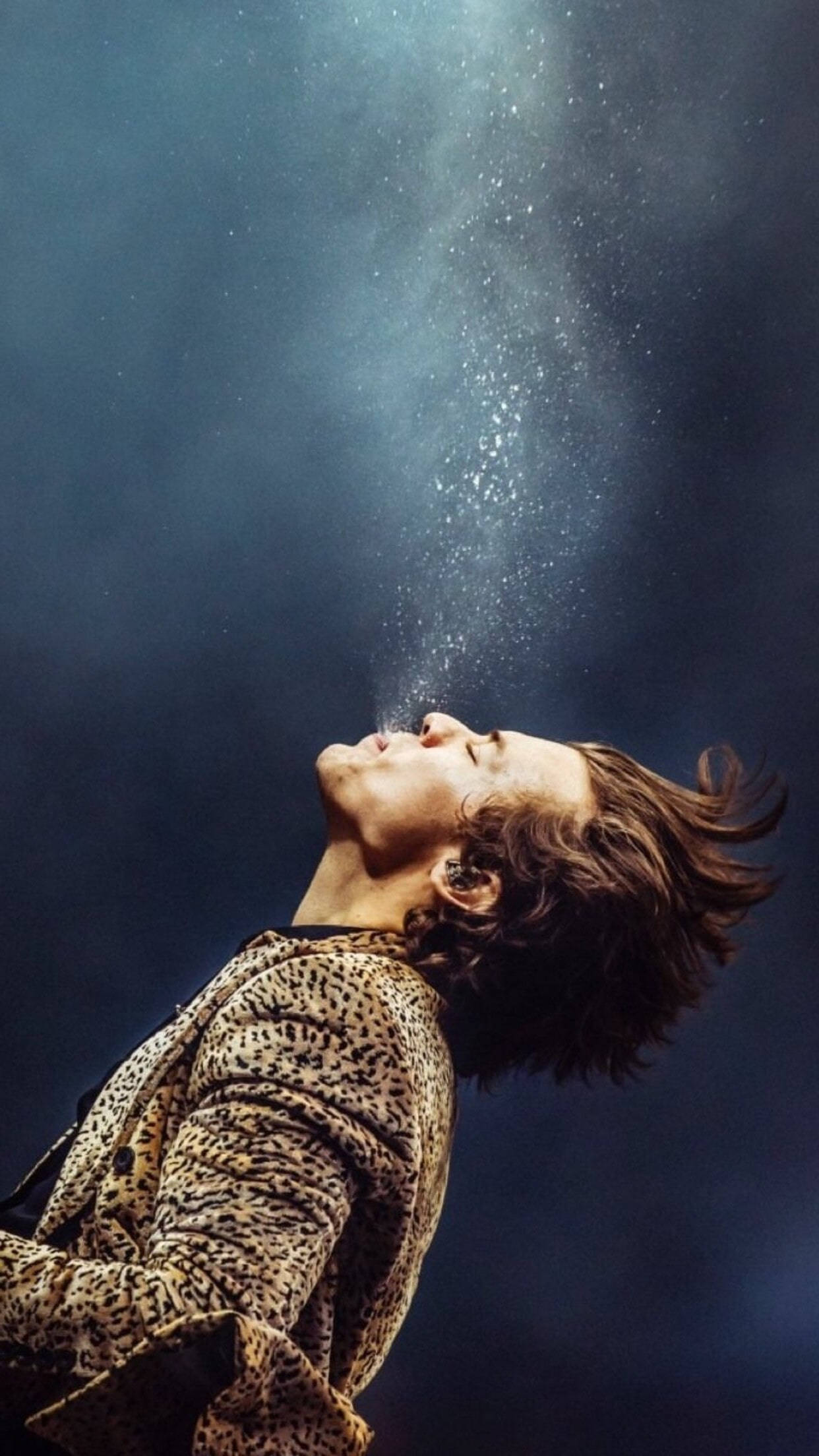 Harry Styles, leopard print jacket, glittering particles, Full HD Phone Wallpaper