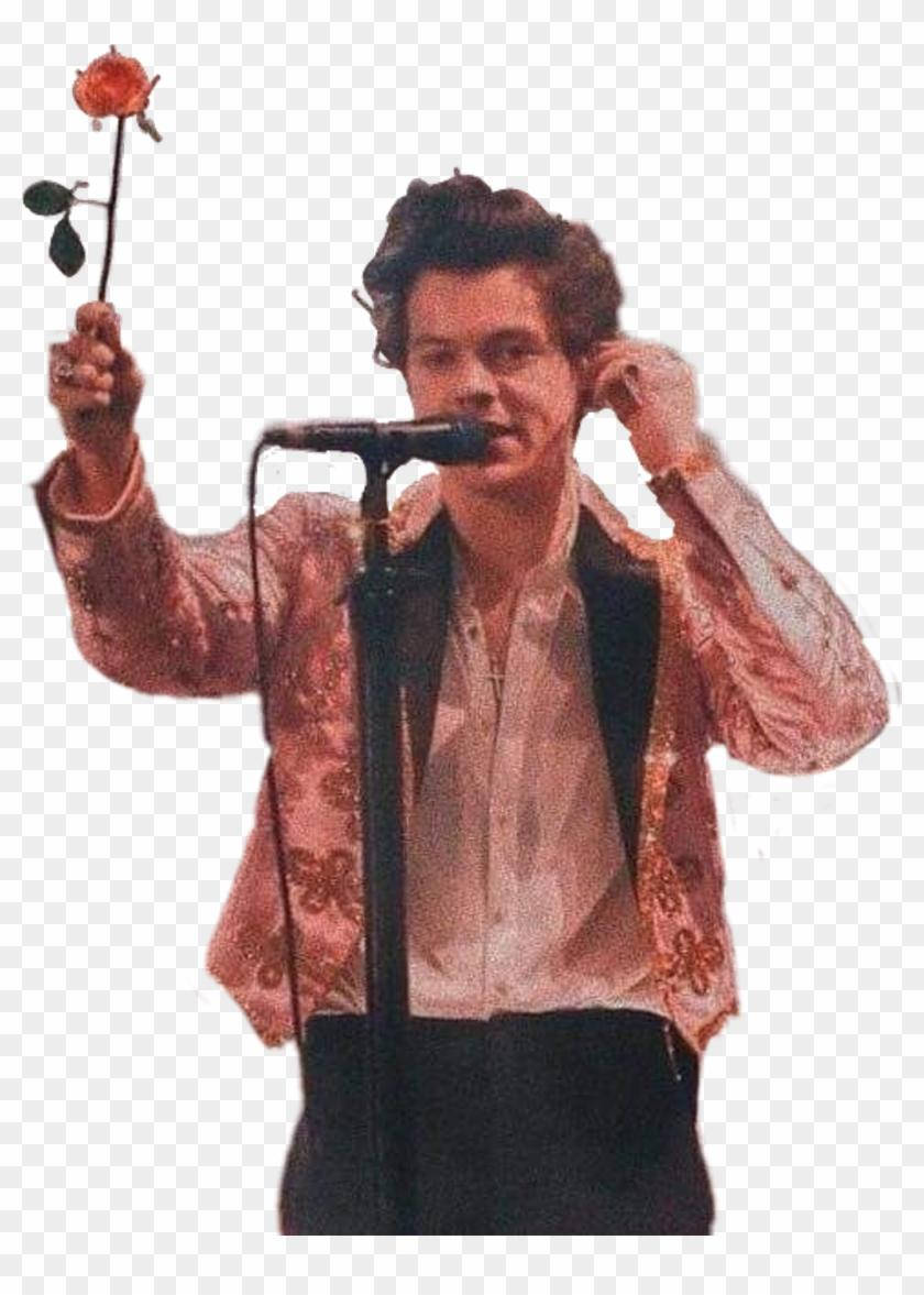 Harry Styles, pink jacket, red rose, SD Phone Wallpaper