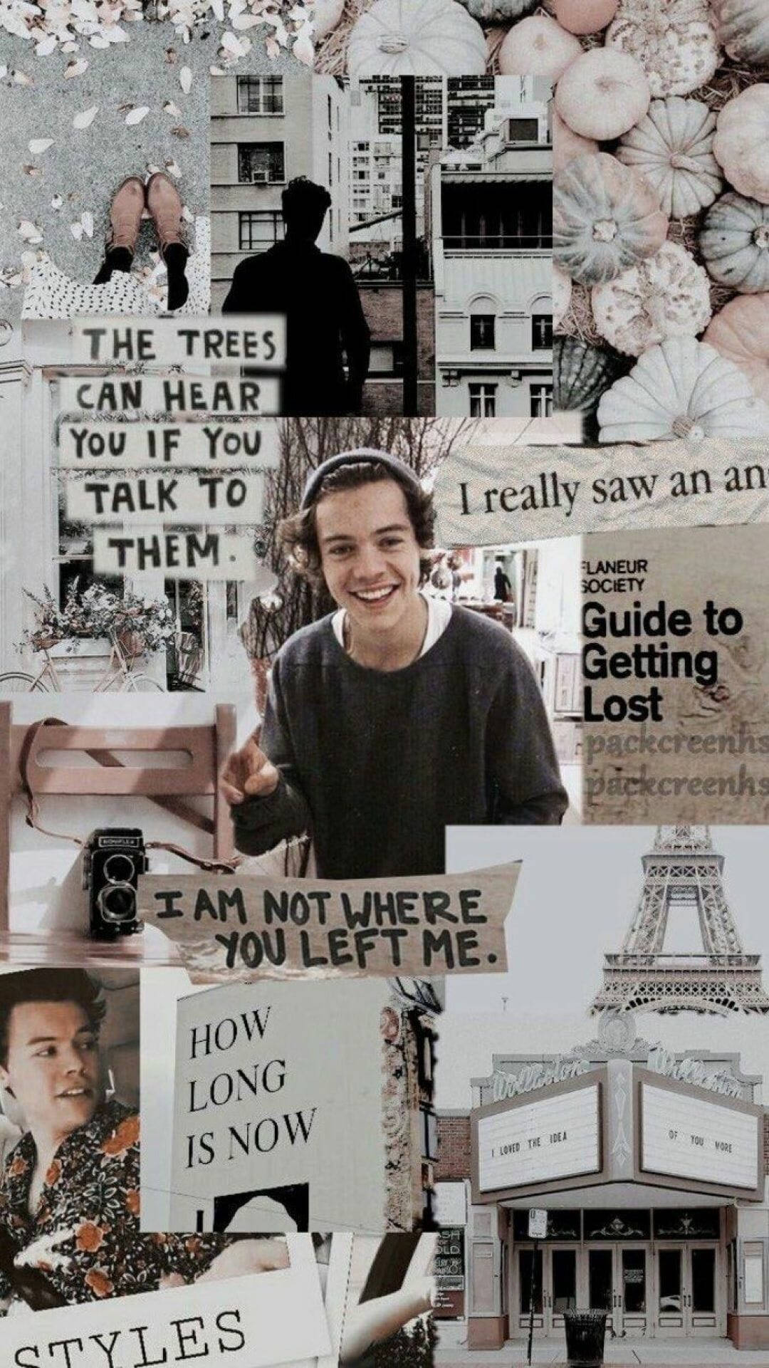 Harry Styles, aesthetic collage, muted tones, Full HD Phone Wallpaper